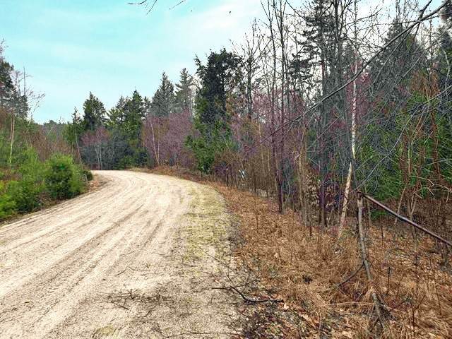 6. Land for Sale at Campton, NH 03223