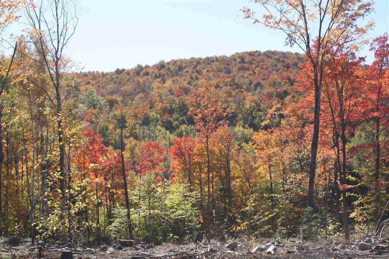 12. Land for Sale at Stratton, VT 05155