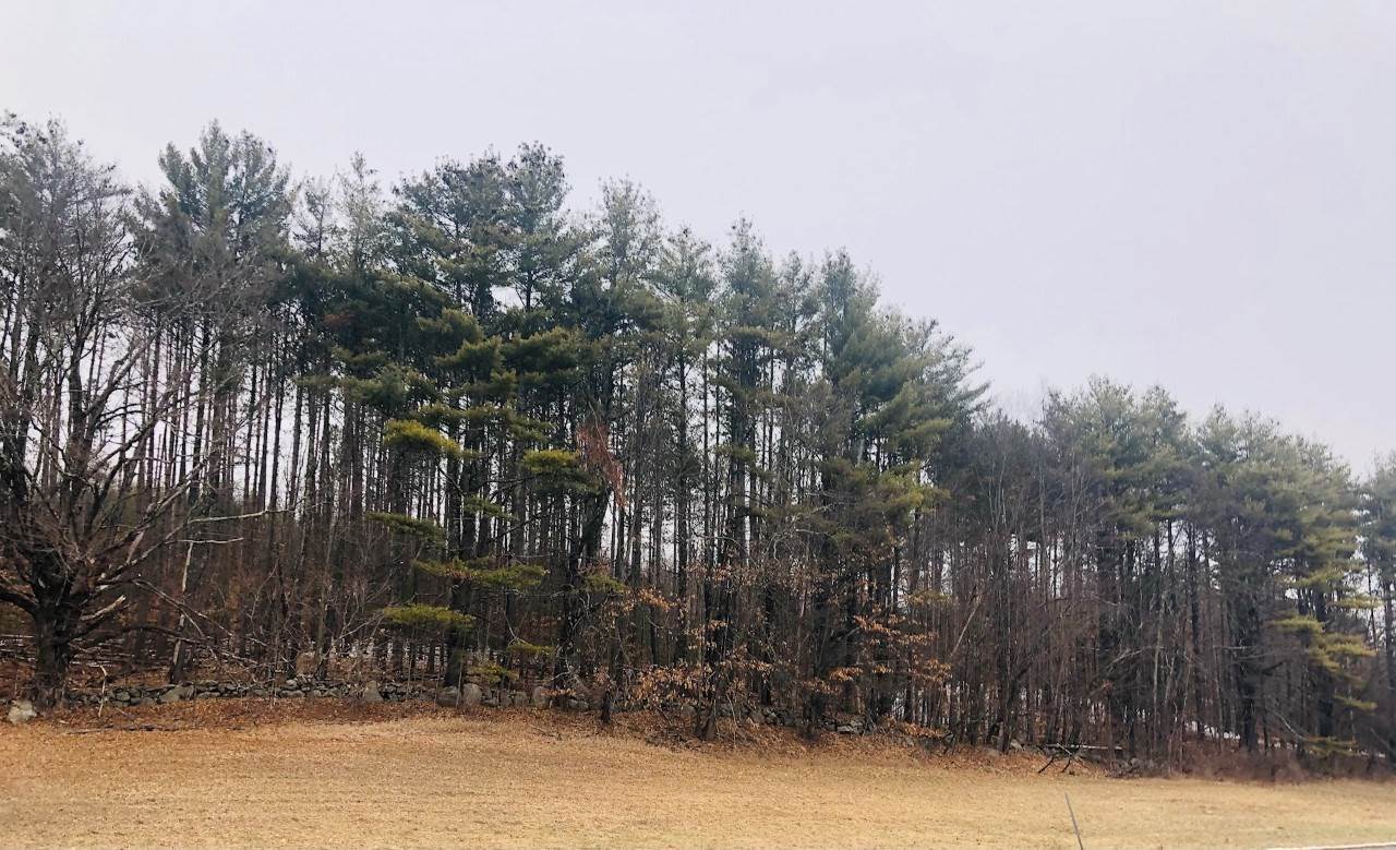 15. Land for Sale at Wilton, NH 03086