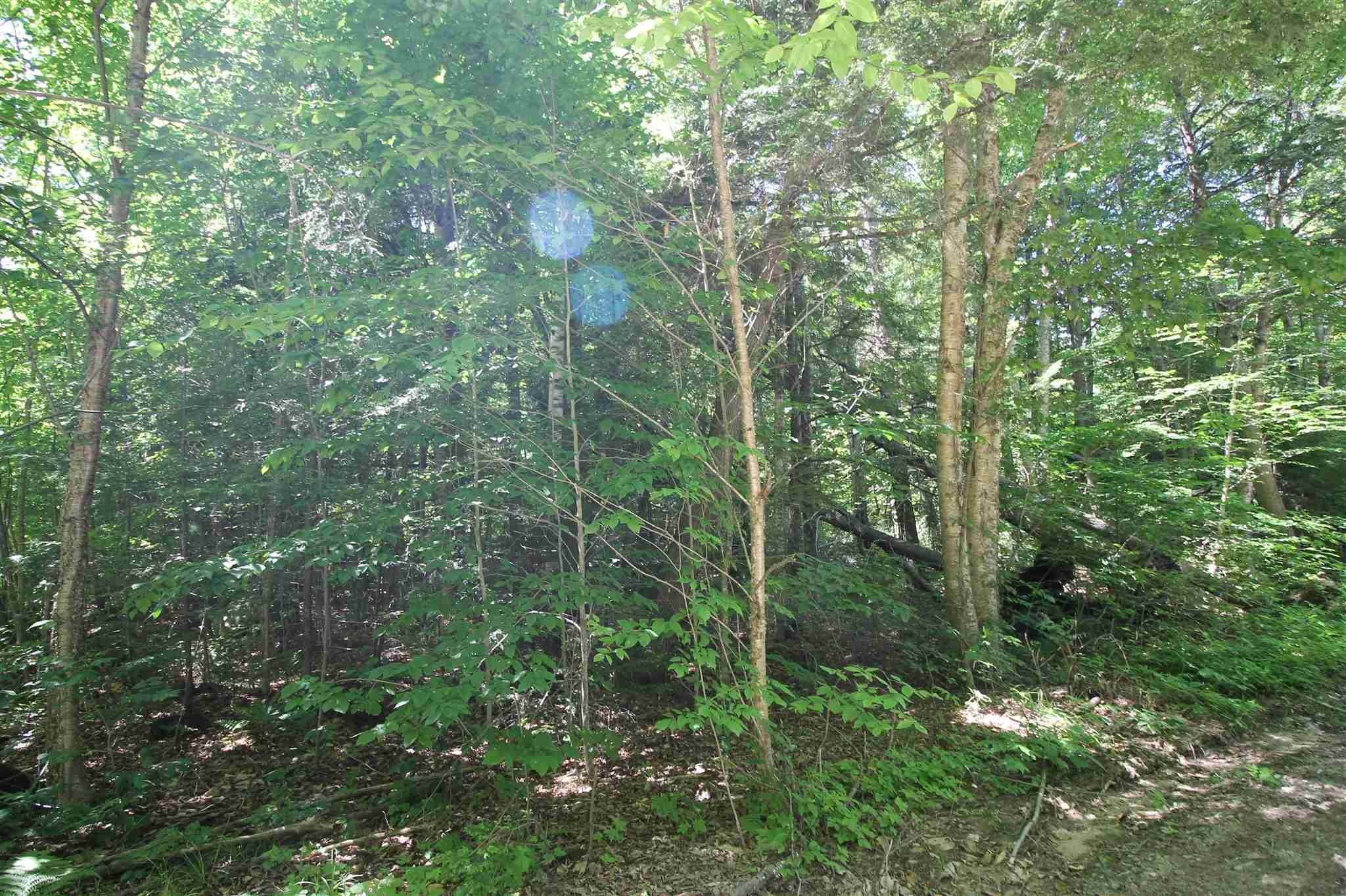 3. Land for Sale at Campton, NH 03223