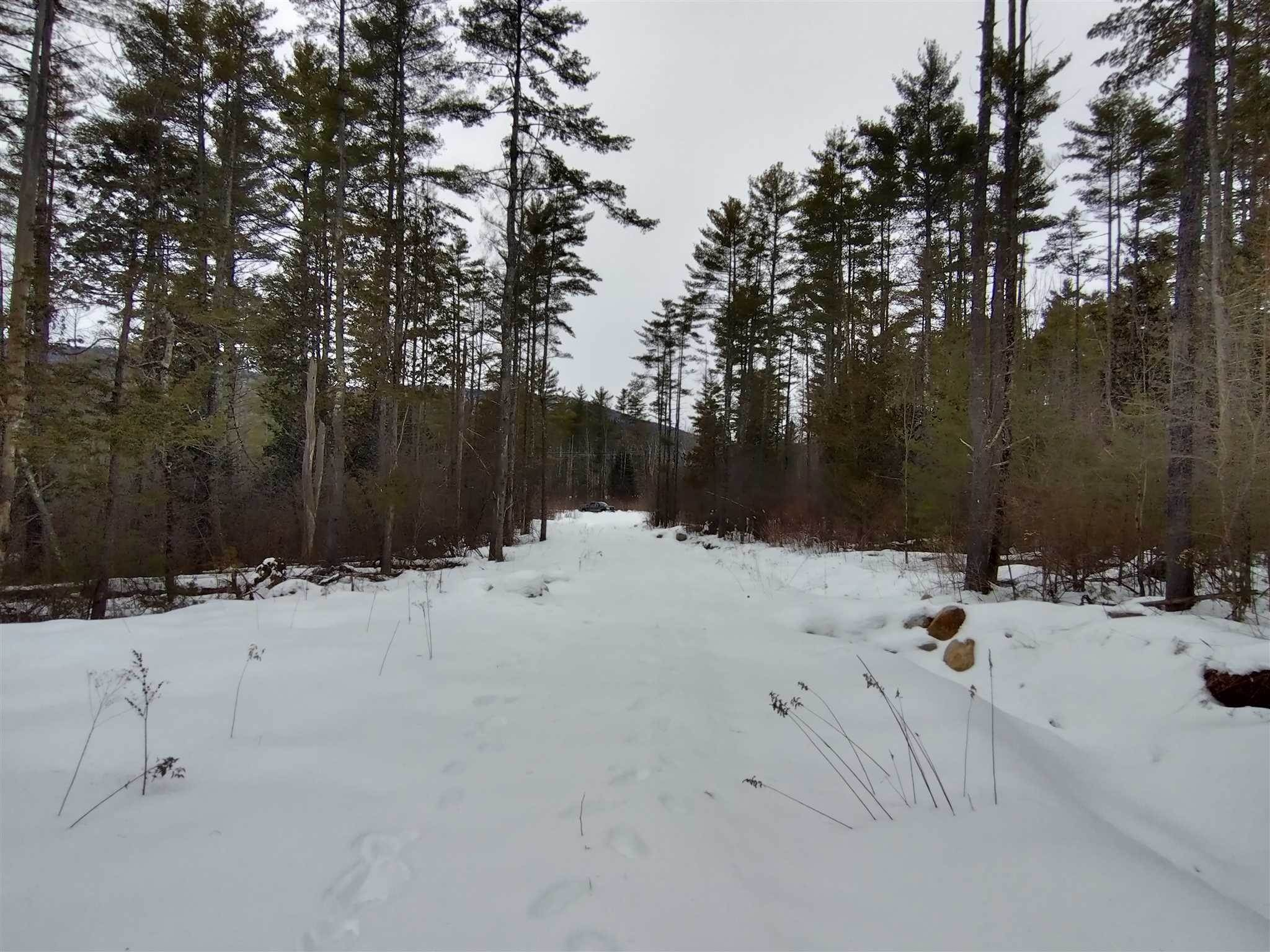 8. Land for Sale at Wallingford, VT 05773