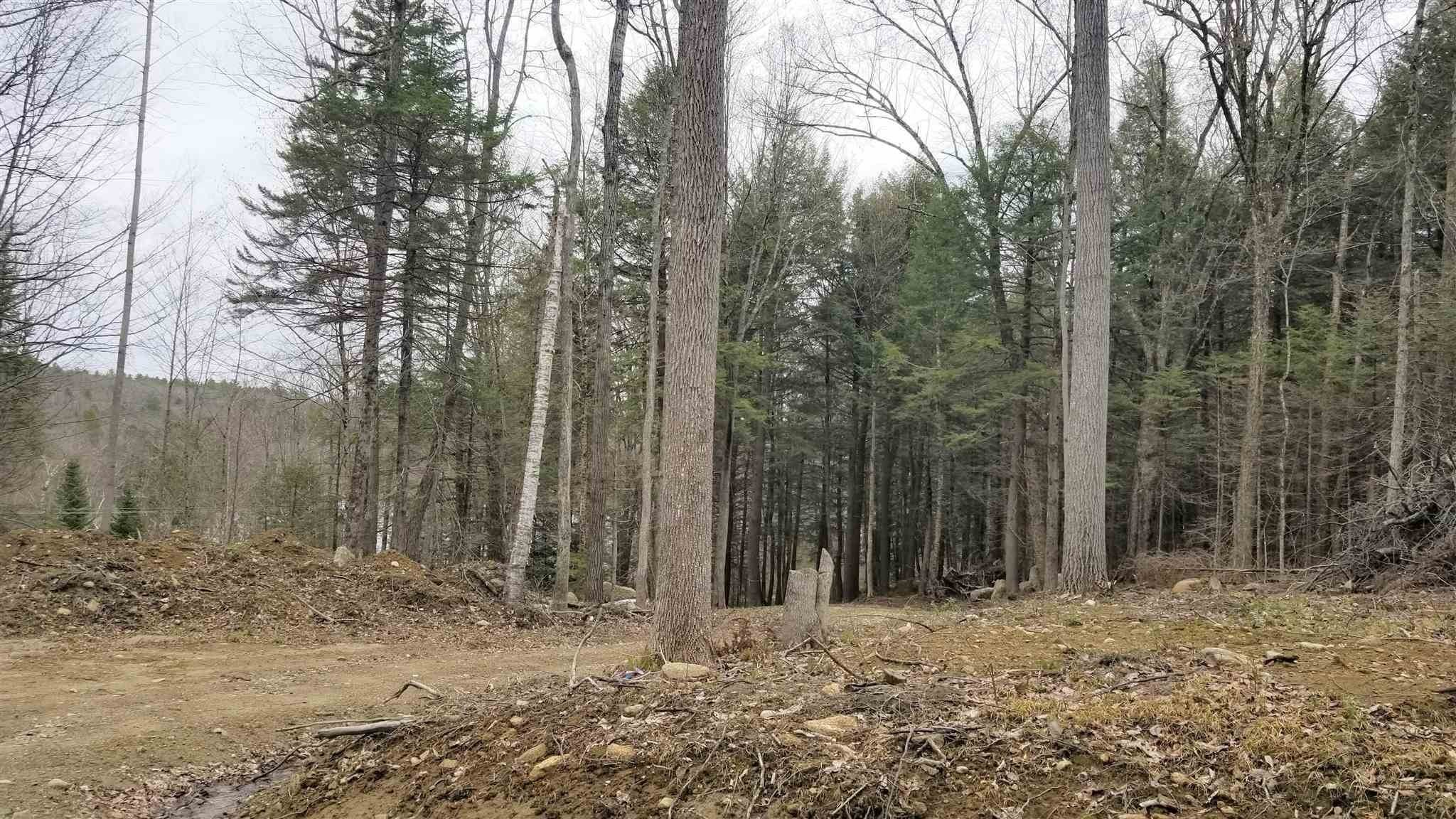 7. Land for Sale at Springfield, NH 03284