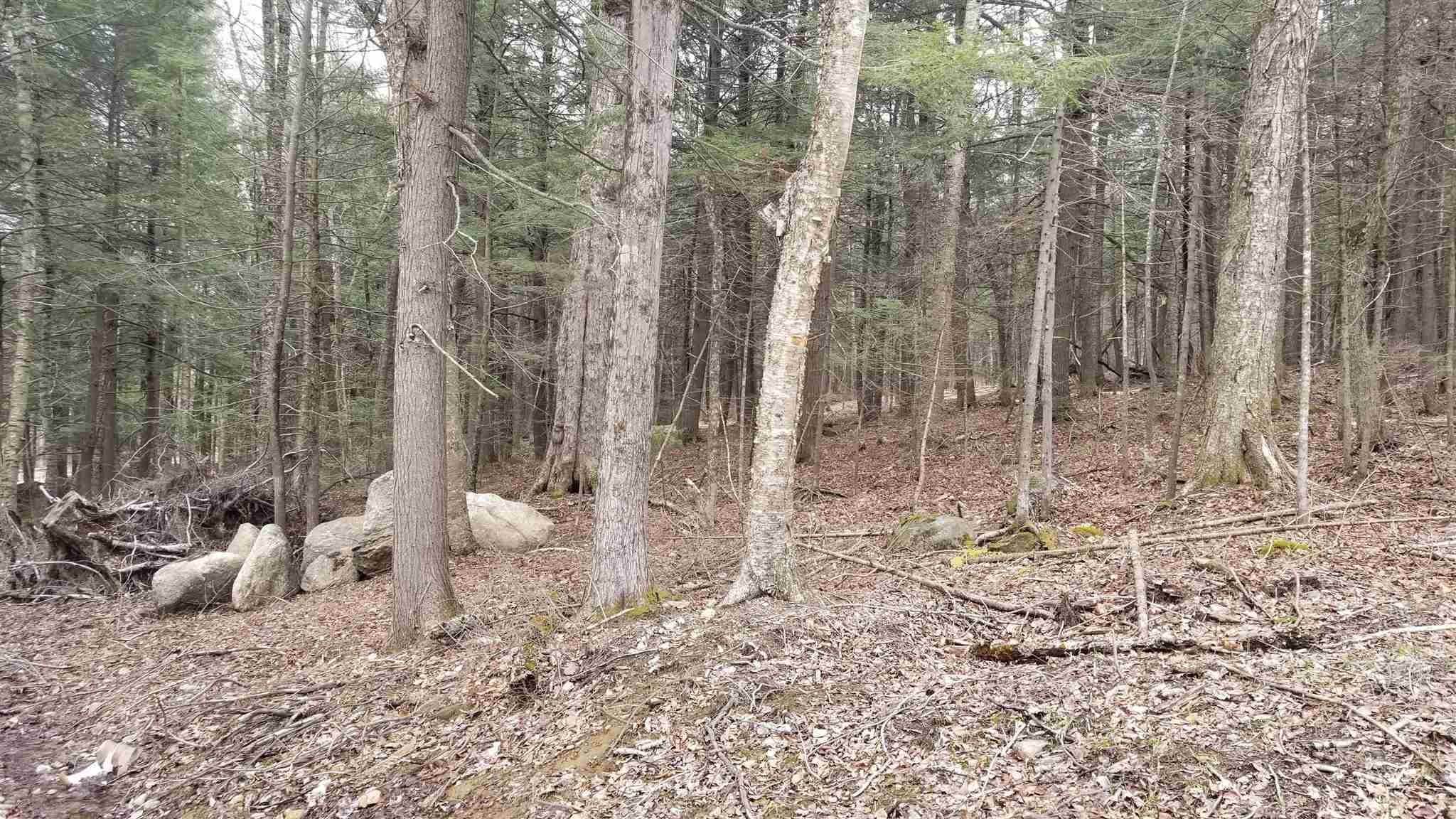 10. Land for Sale at Springfield, NH 03284