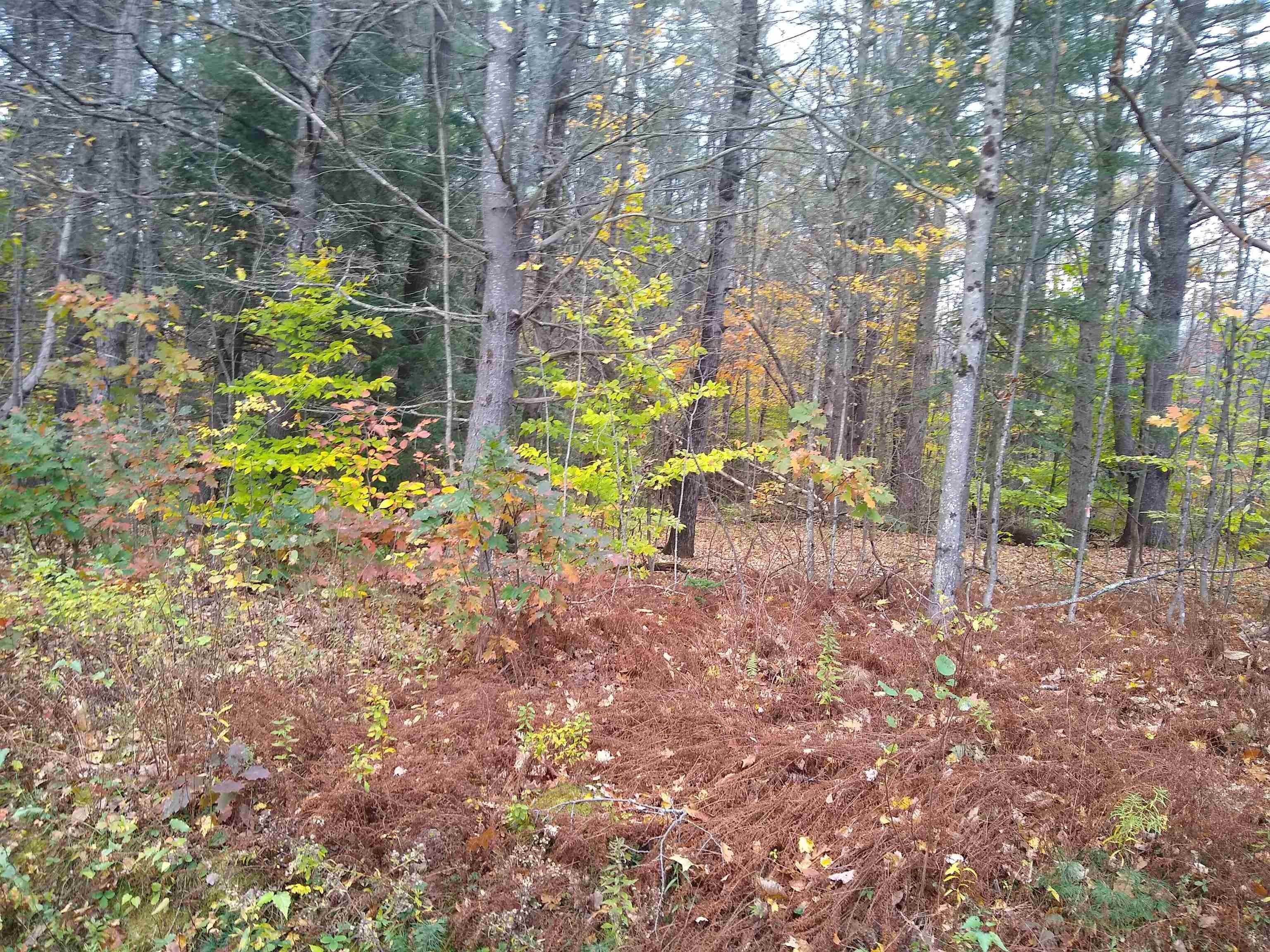 2. Land for Sale at Alstead, NH 03602
