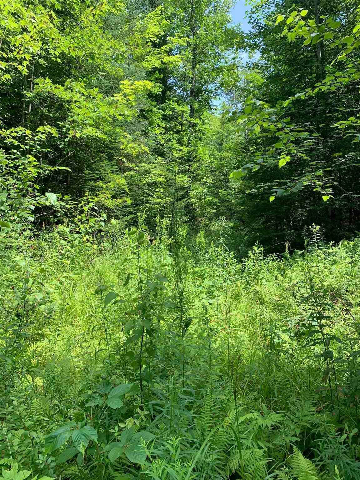 4. Land for Sale at Northumberland, NH 03582