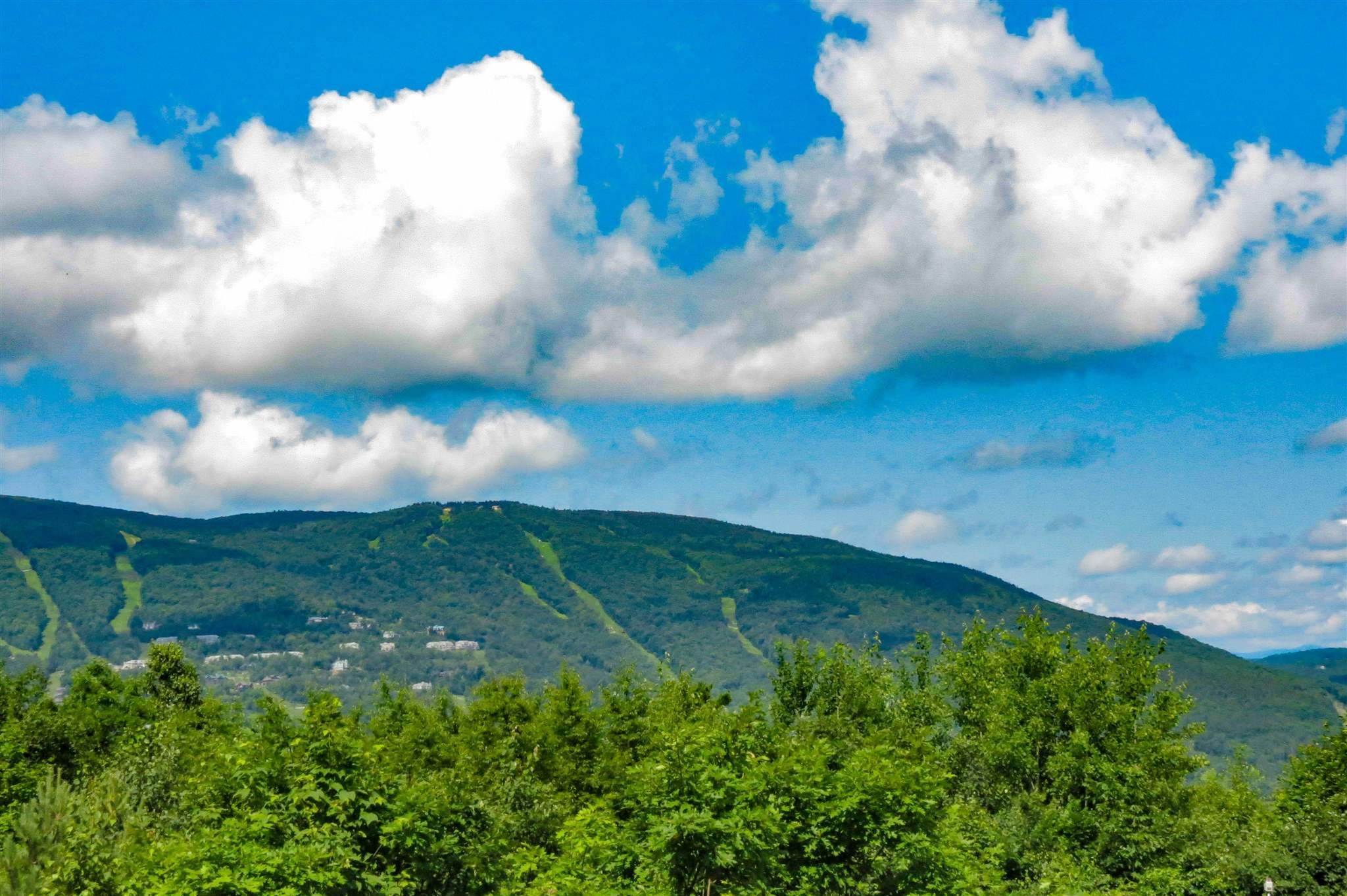 5. Land for Sale at Ludlow, VT 05149