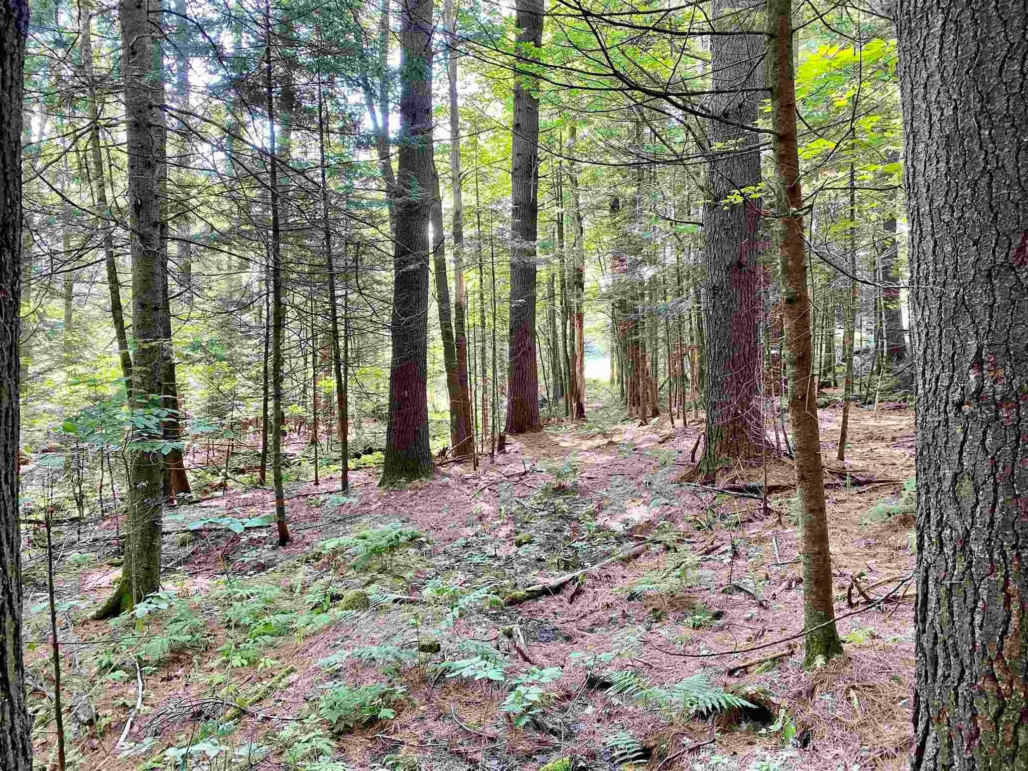 11. Land for Sale at New London, NH 03257