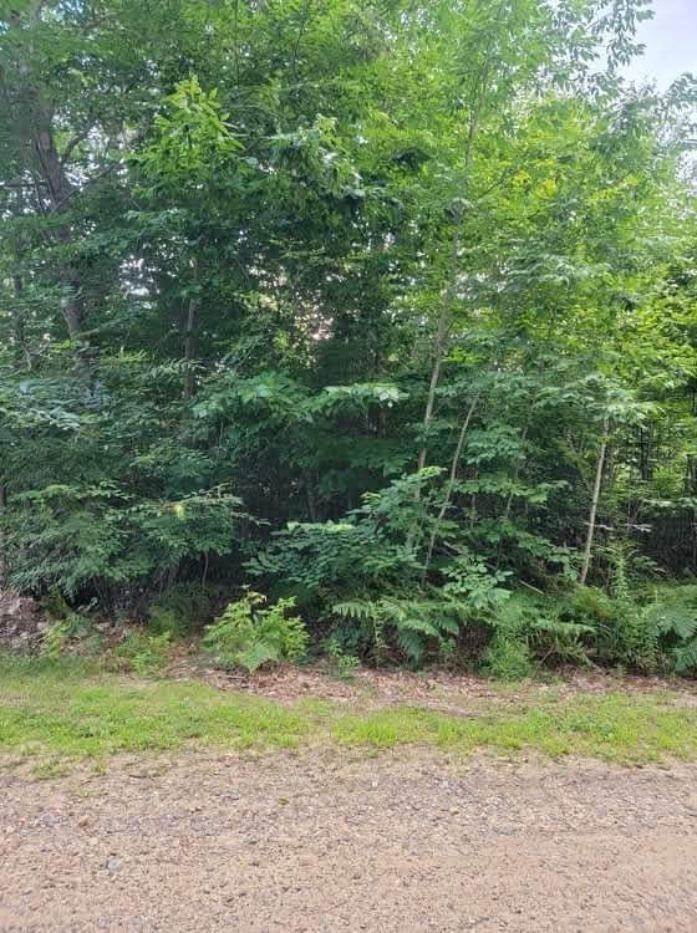 9. Land for Sale at Barnstead, NH 03225