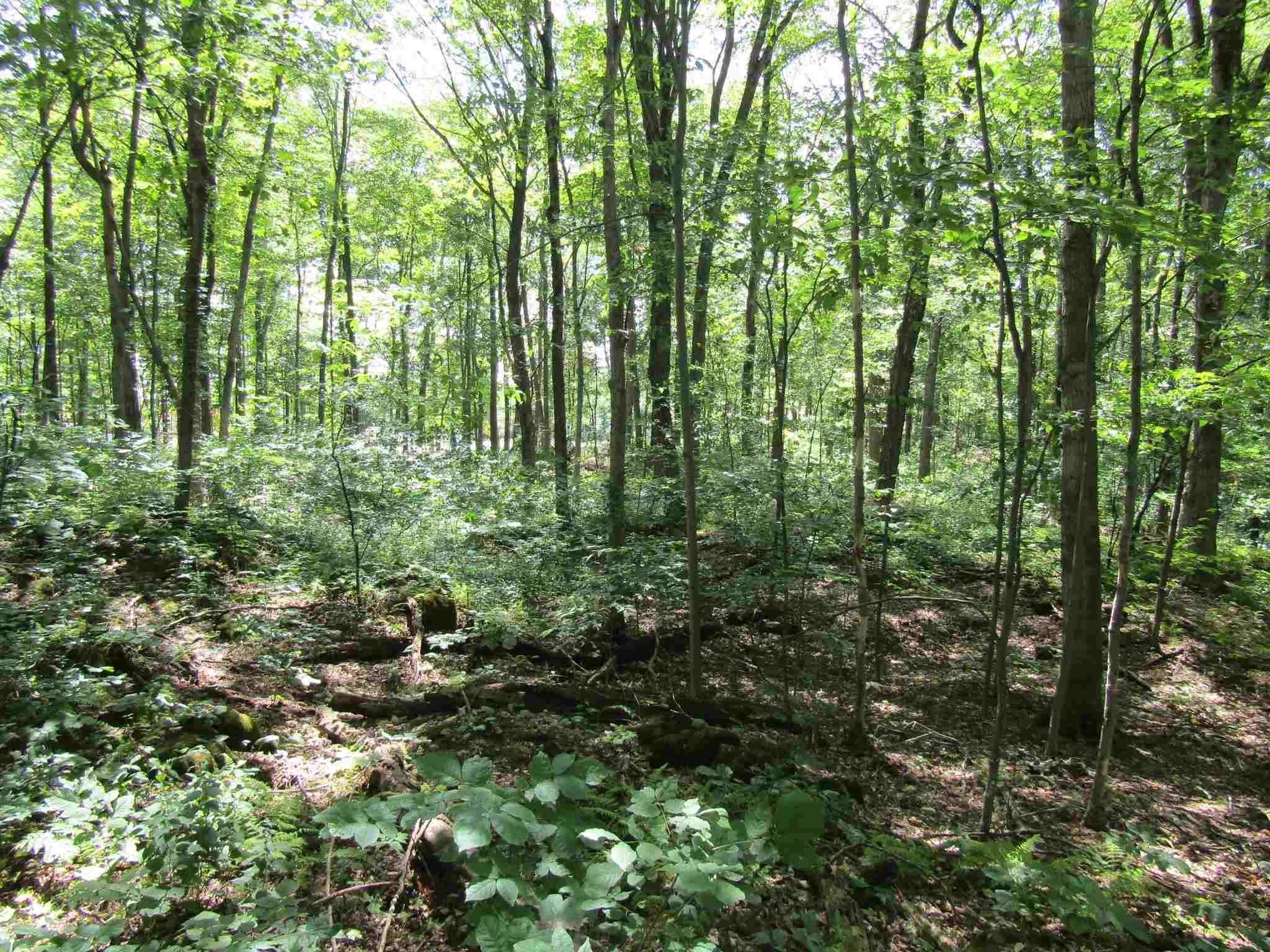 14. Land for Sale at Swanton, VT 05488