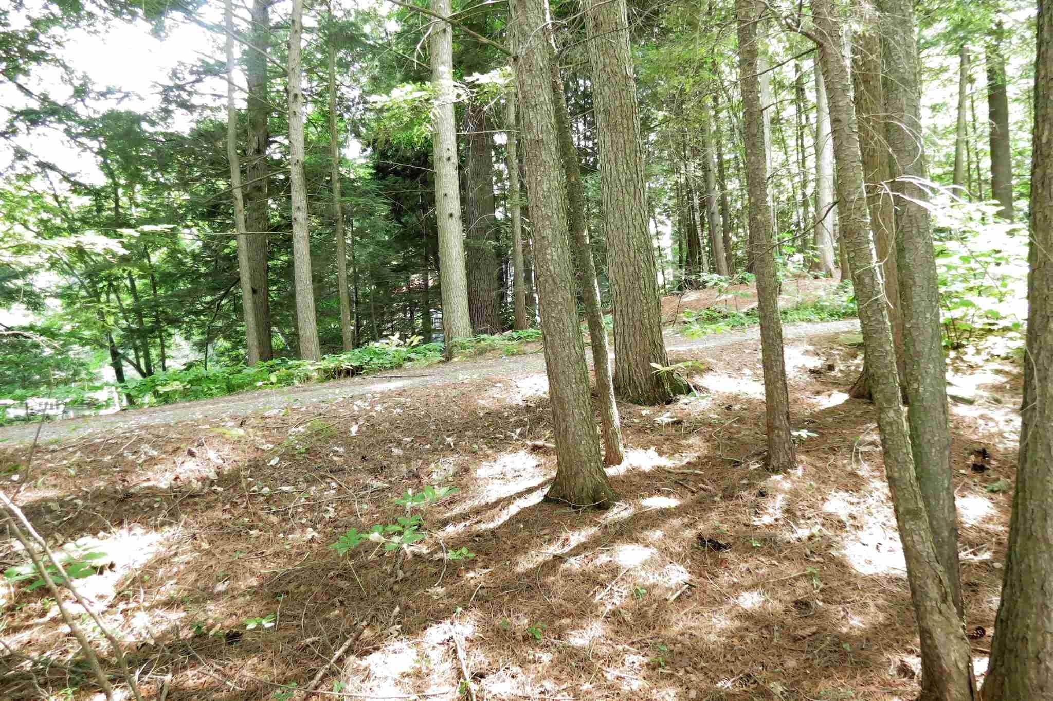 5. Land for Sale at Ludlow, VT 05149