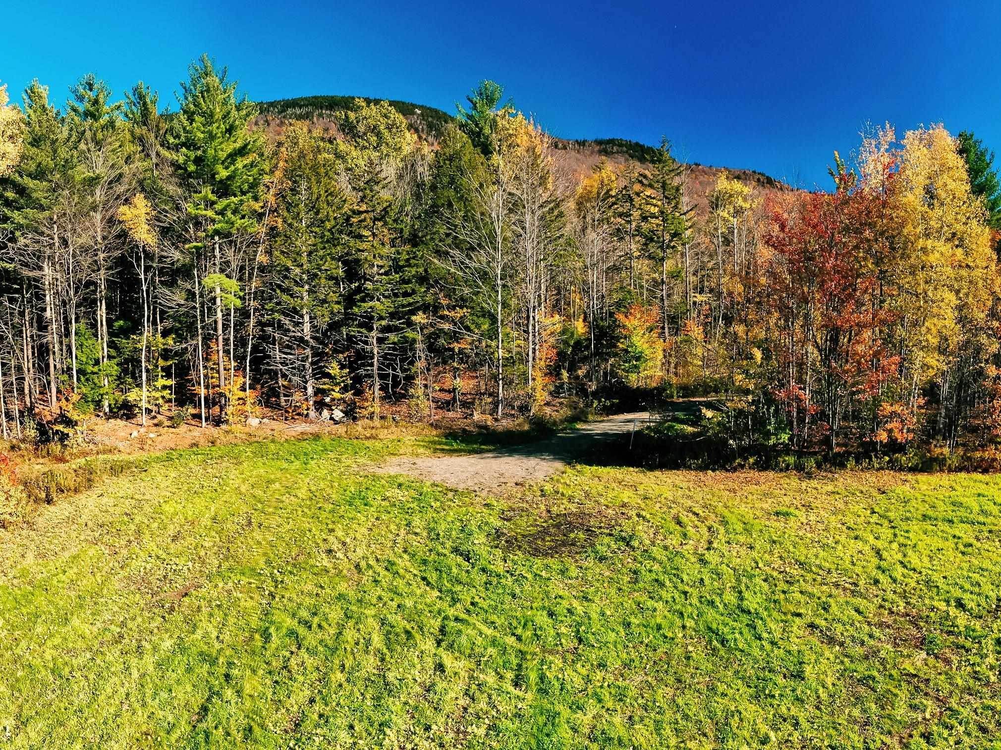 3. Land for Sale at Morristown, VT 05661