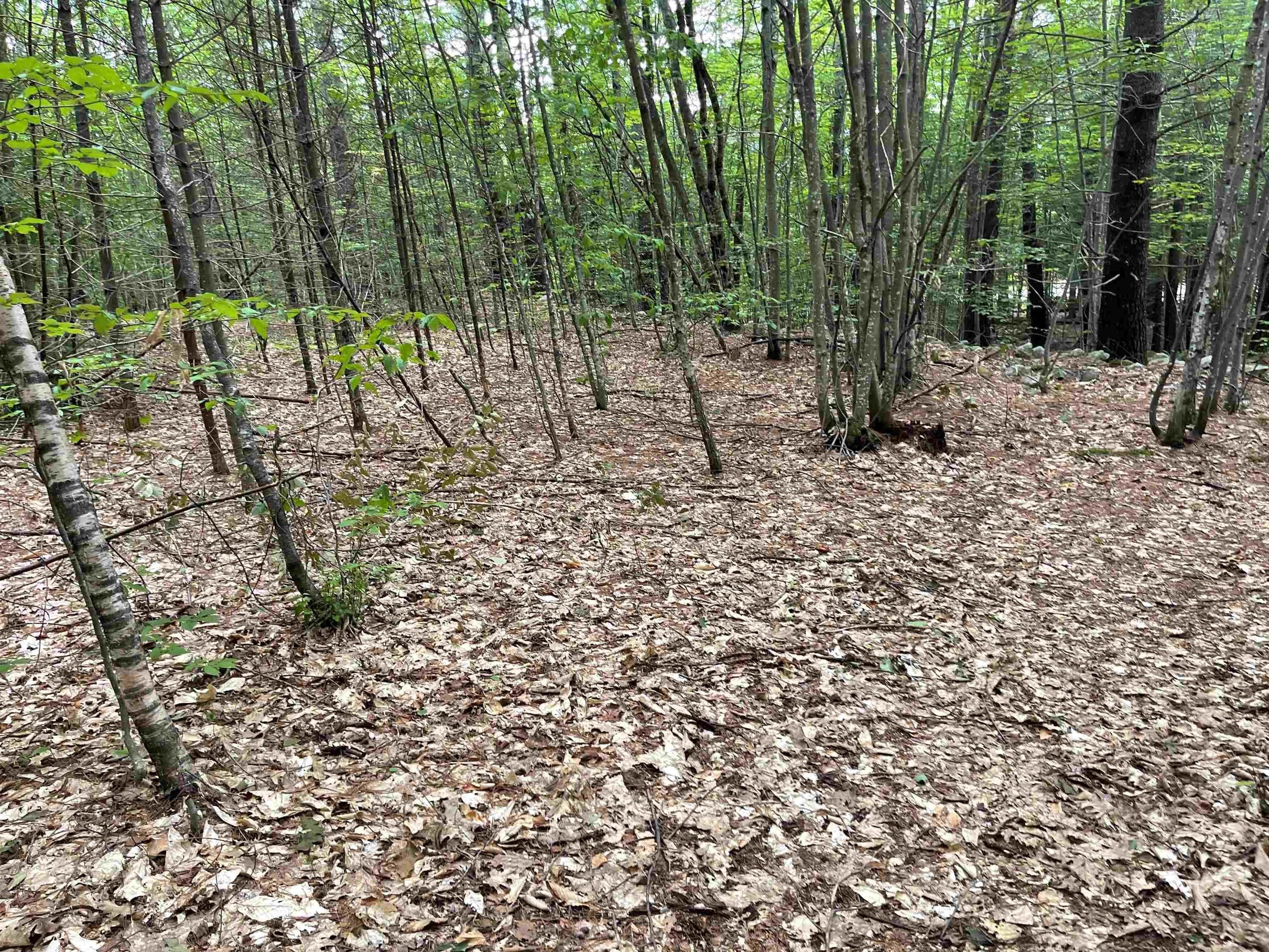 3. Land for Sale at Madison, NH 03849