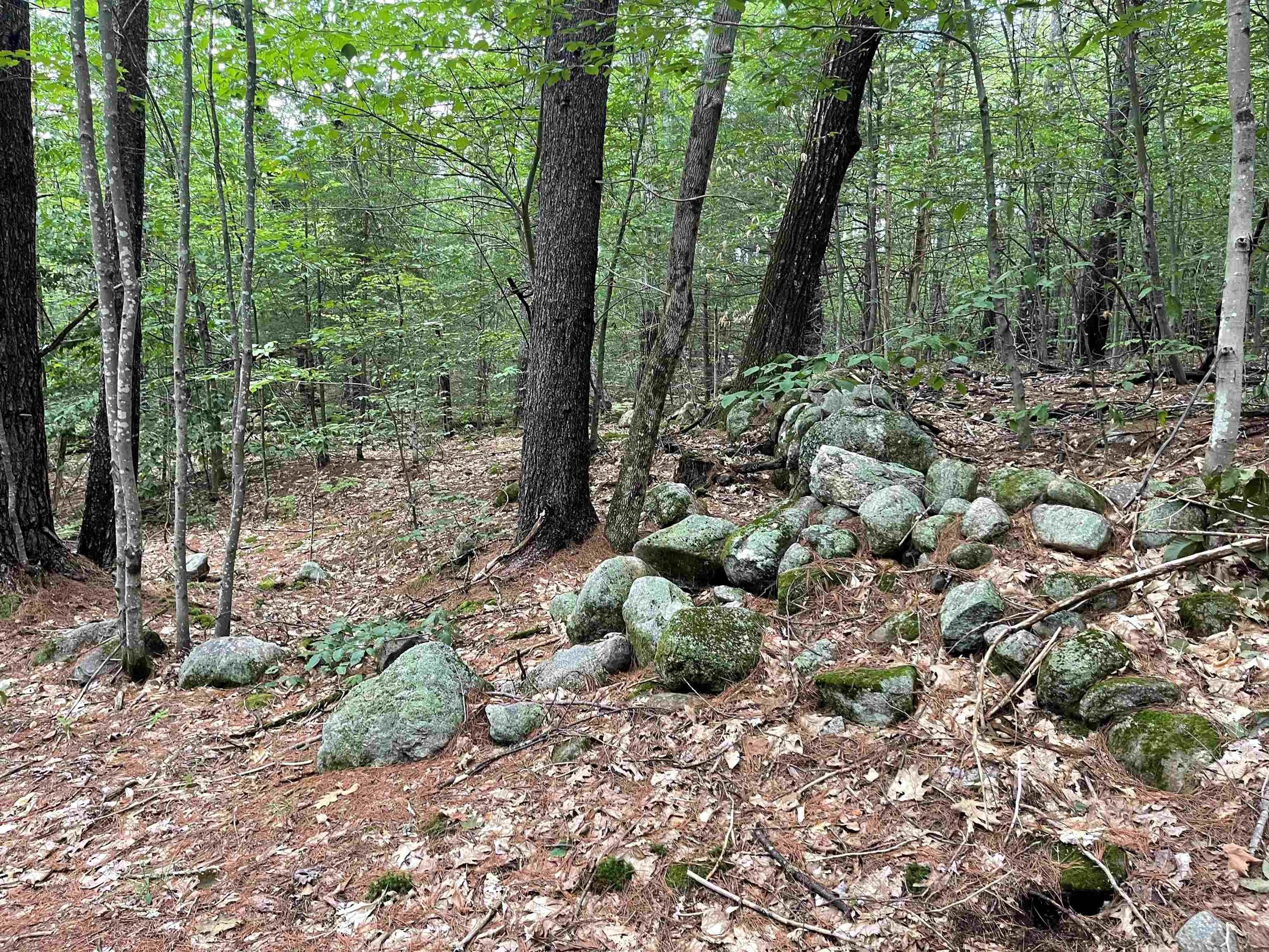 7. Land for Sale at Madison, NH 03849