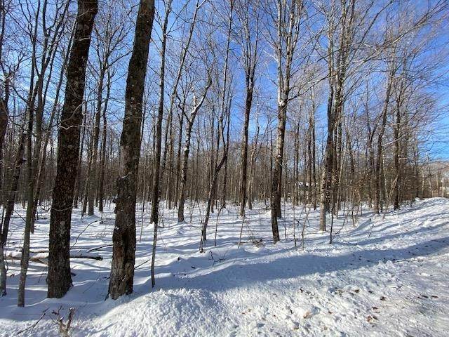 Property for Sale at Weston, VT 05062