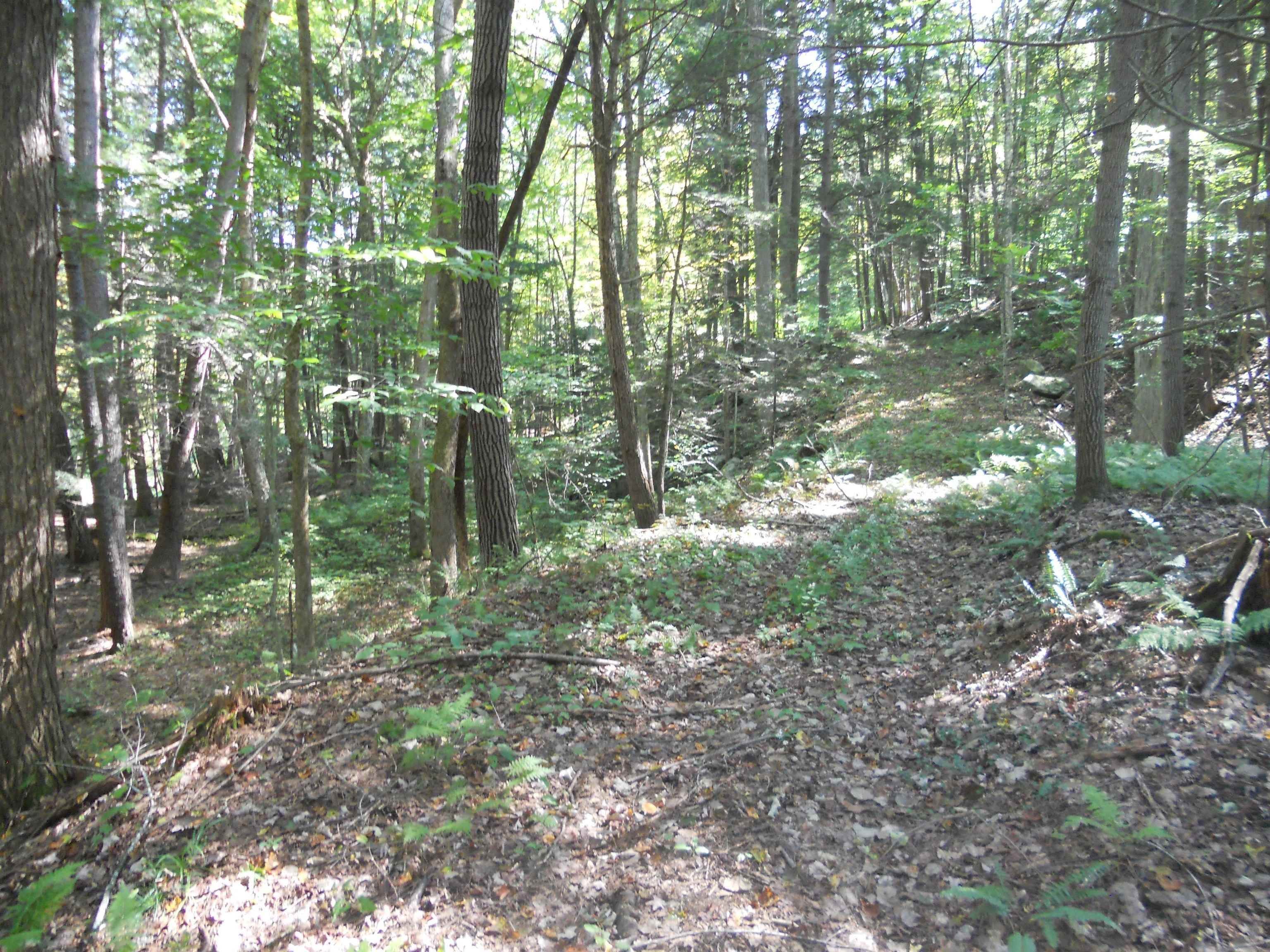 3. Land for Sale at Grantham, NH 03753