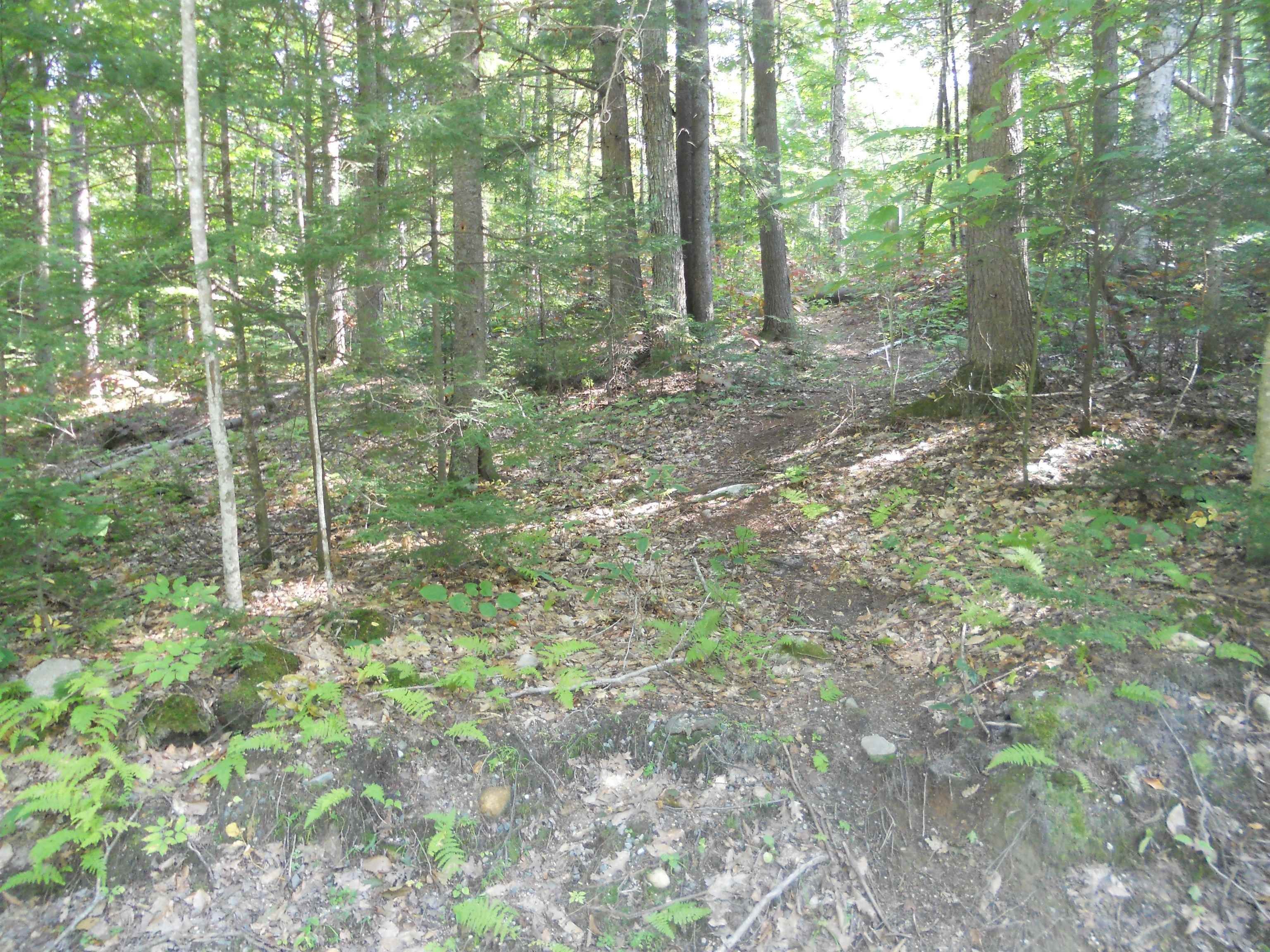 4. Land for Sale at Grantham, NH 03753
