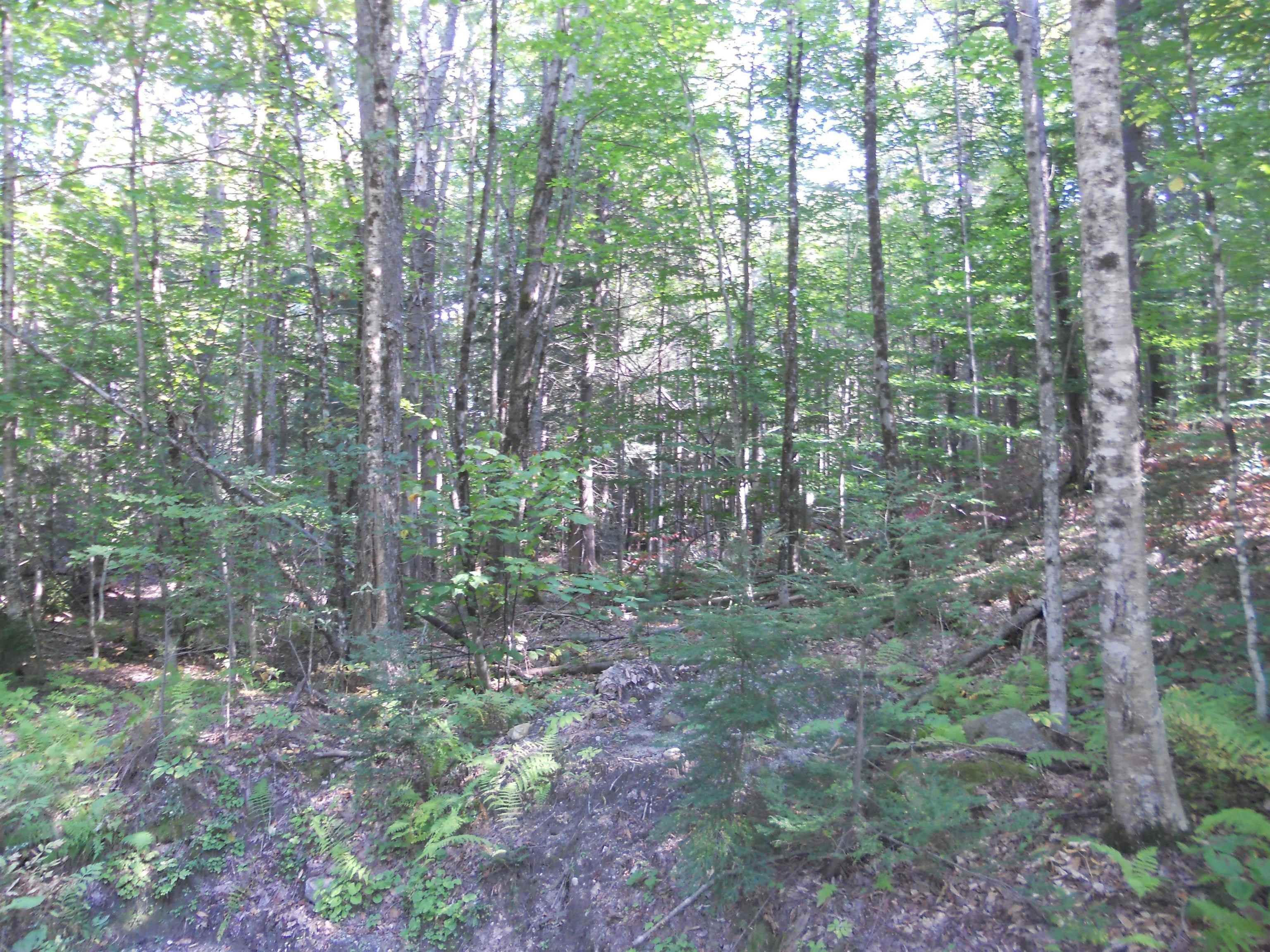 5. Land for Sale at Grantham, NH 03753