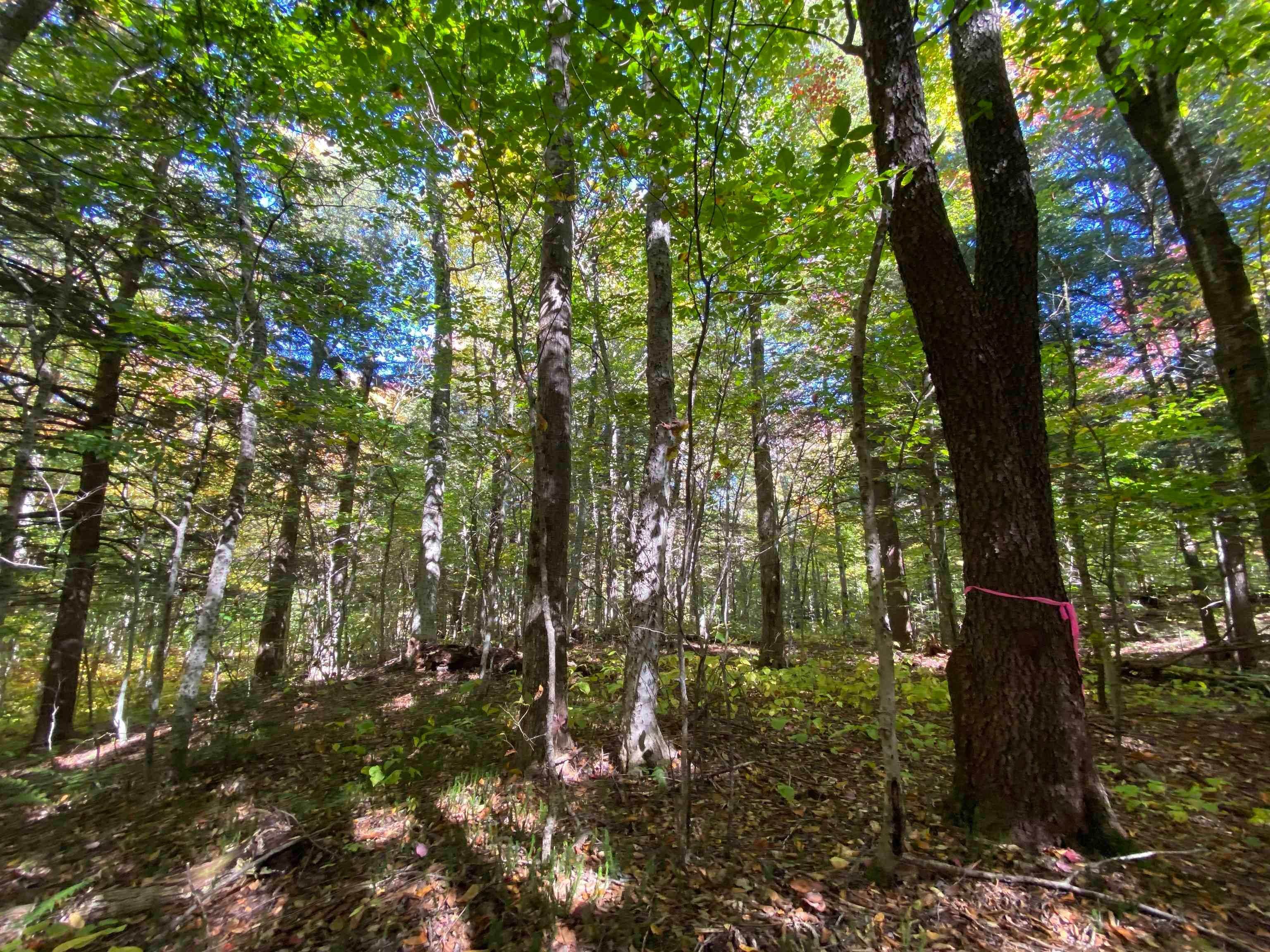 4. Land for Sale at Ludlow, VT 05149