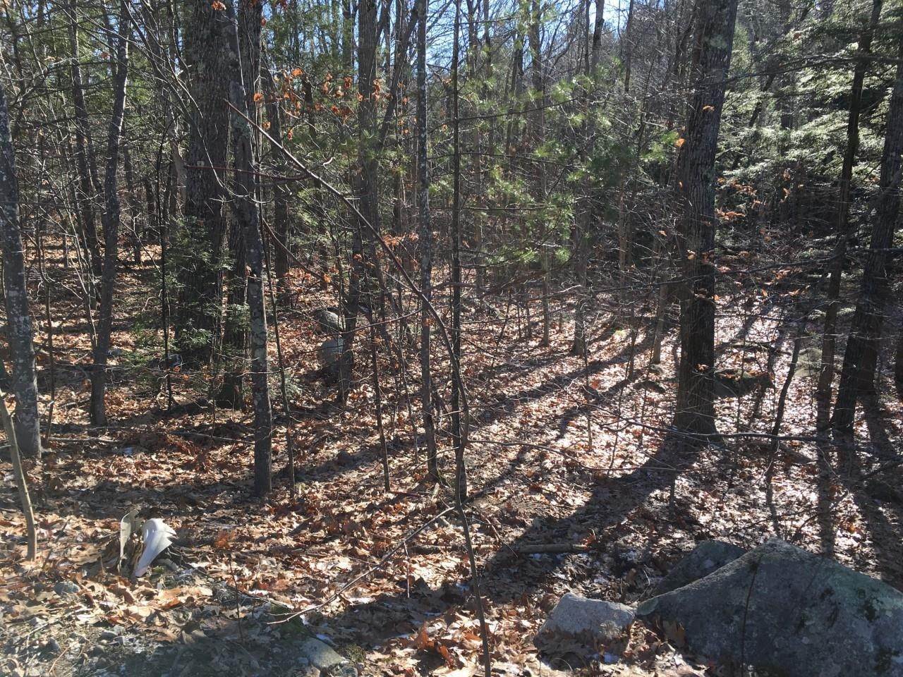 4. Land for Sale at Alton, NH 03809