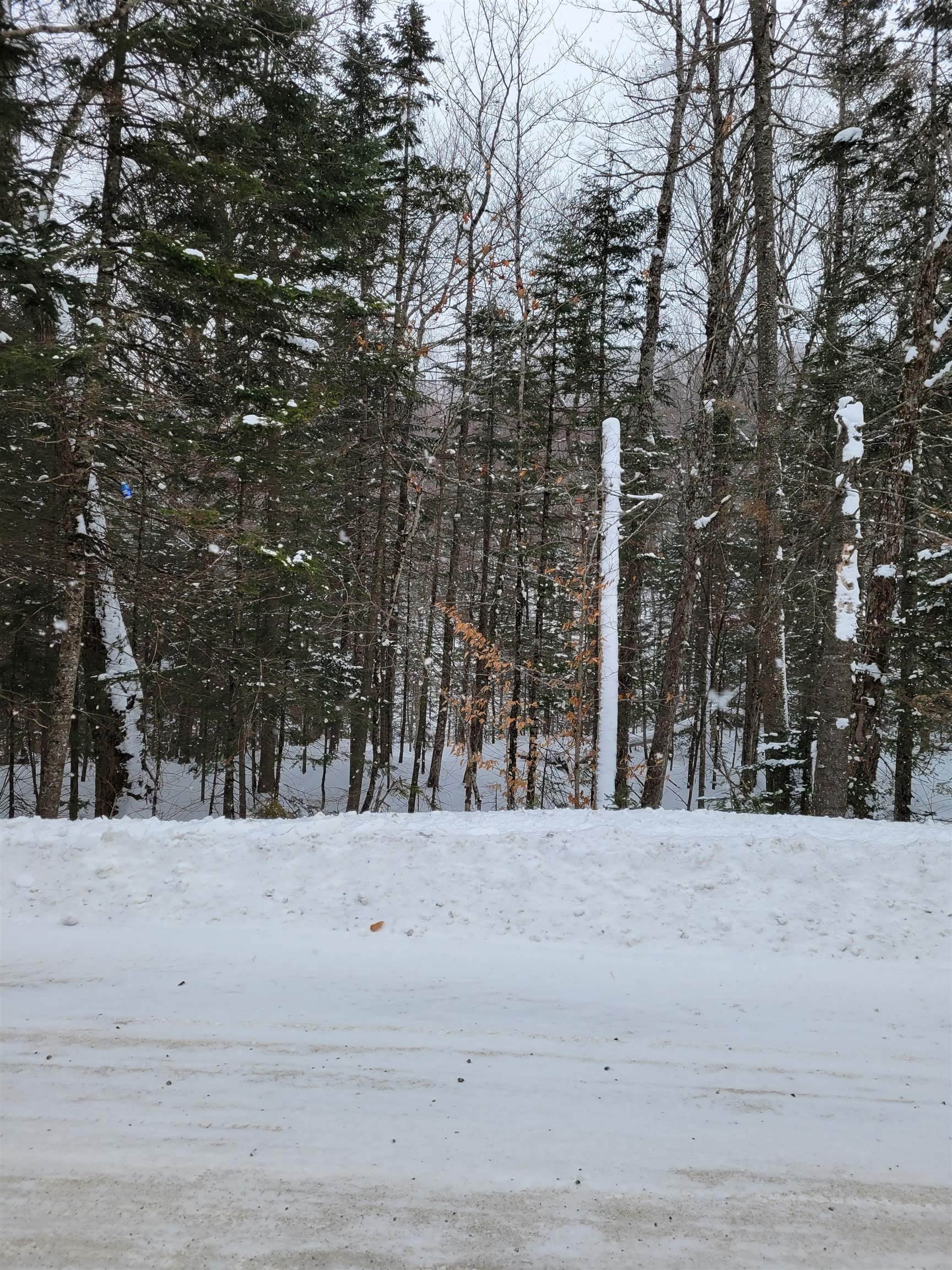 Land for Sale at Wheelock, VT 05851
