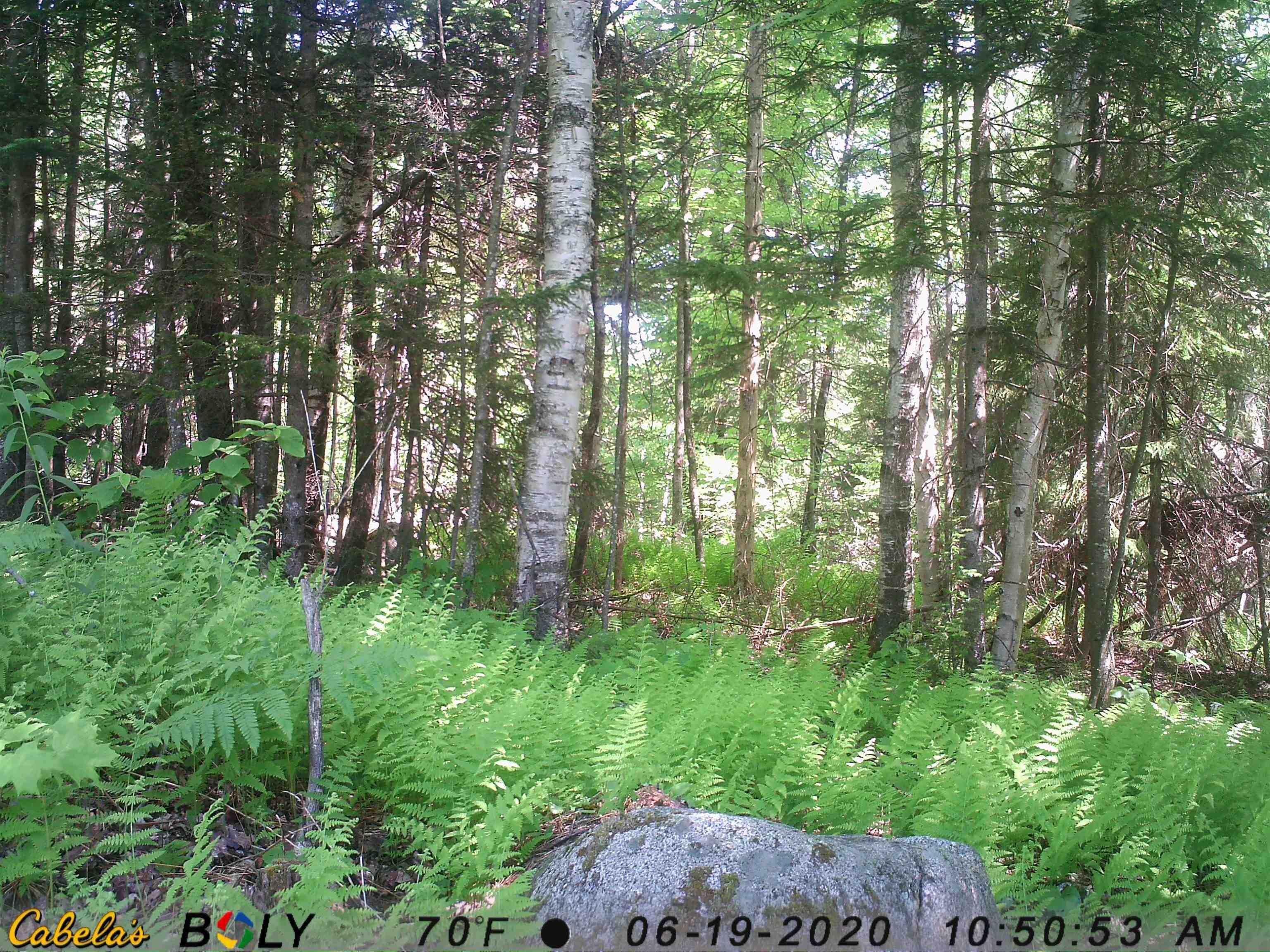 Land for Sale at Waterford, VT 05831