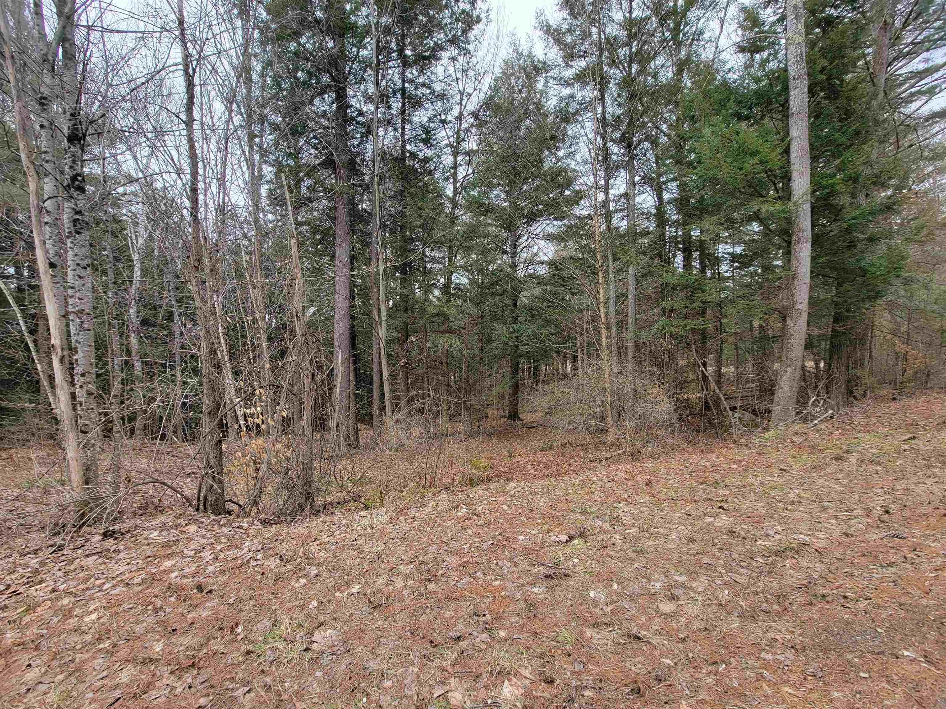 Land for Sale at Lyme, NH 03768
