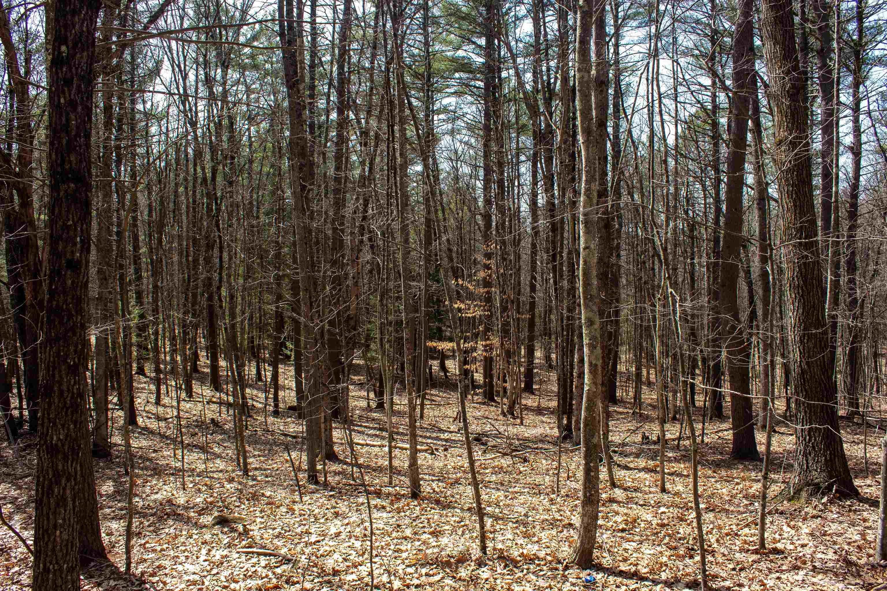 Land for Sale at Franklin, NH 03235