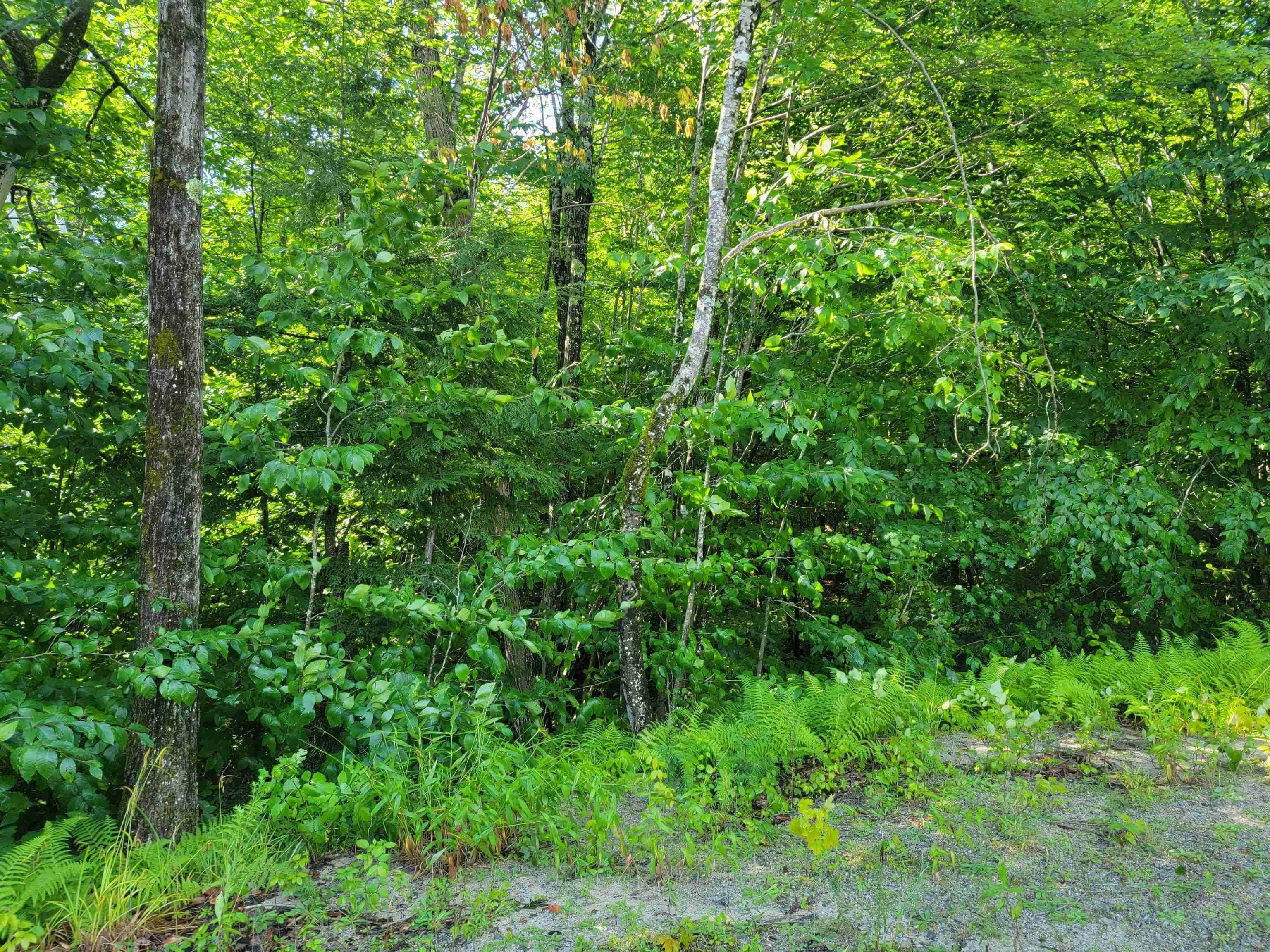 4. Land for Sale at Campton, NH 03223