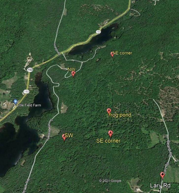 1. Land for Sale at Eaton, NH 03832