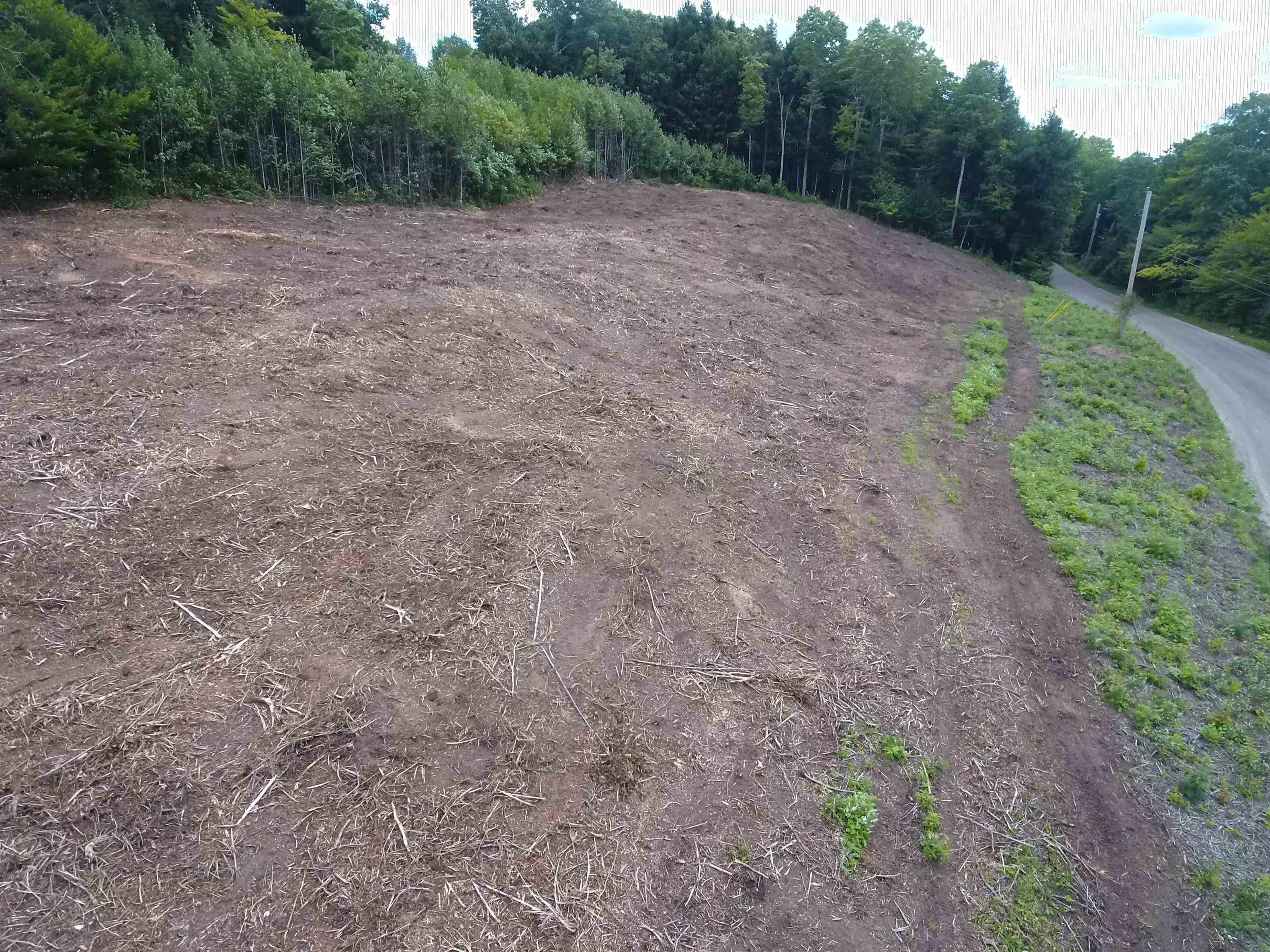 5. Land for Sale at St. Johnsbury, VT 05819