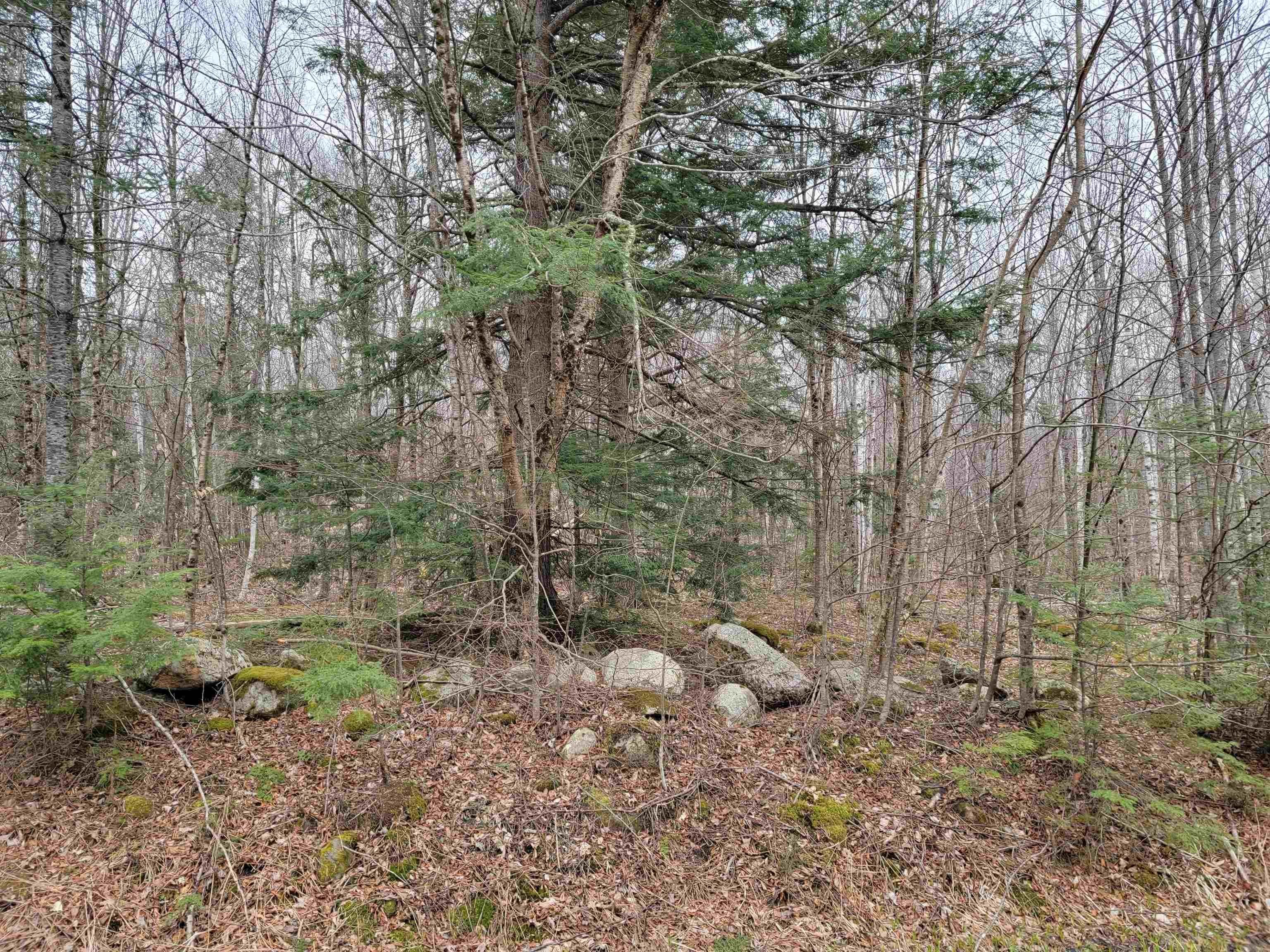 14. Land for Sale at Franconia, NH 03580