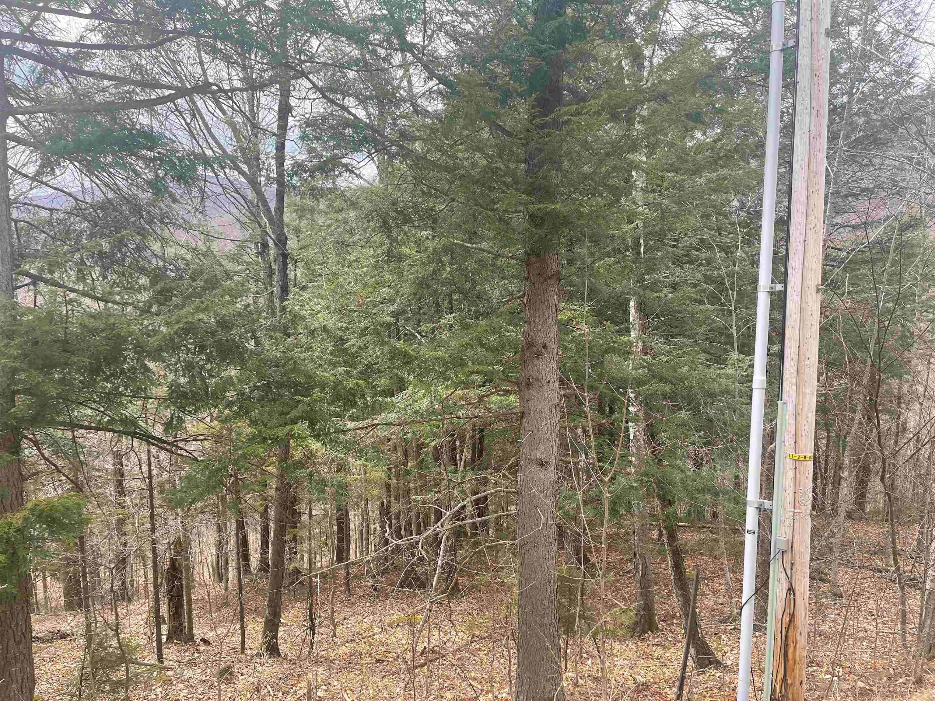 6. Land for Sale at Plymouth, VT 05056
