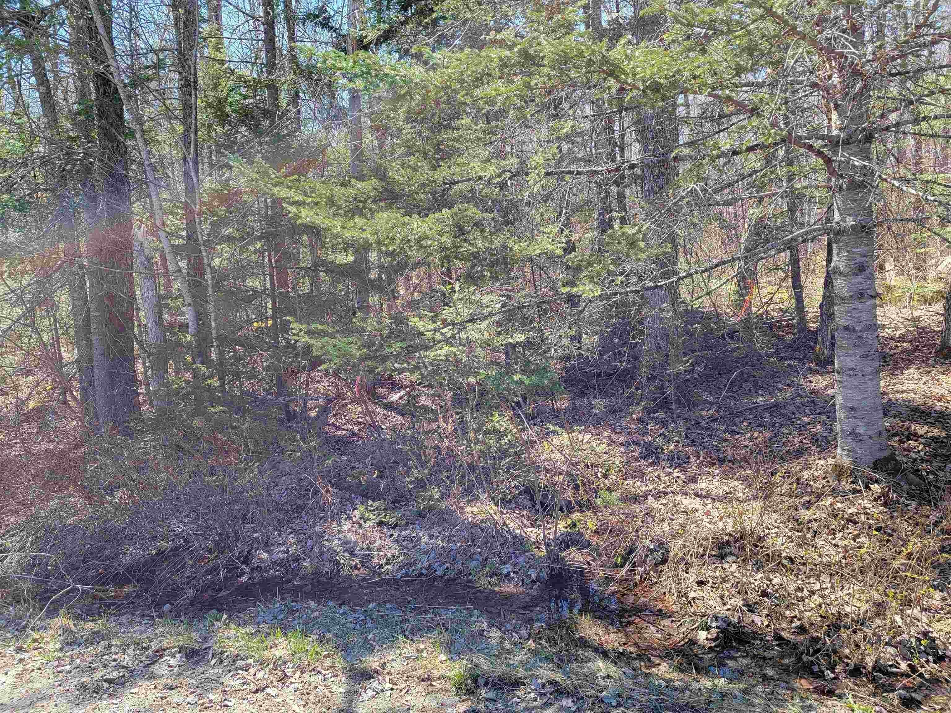 15. Land for Sale at Franconia, NH 03580