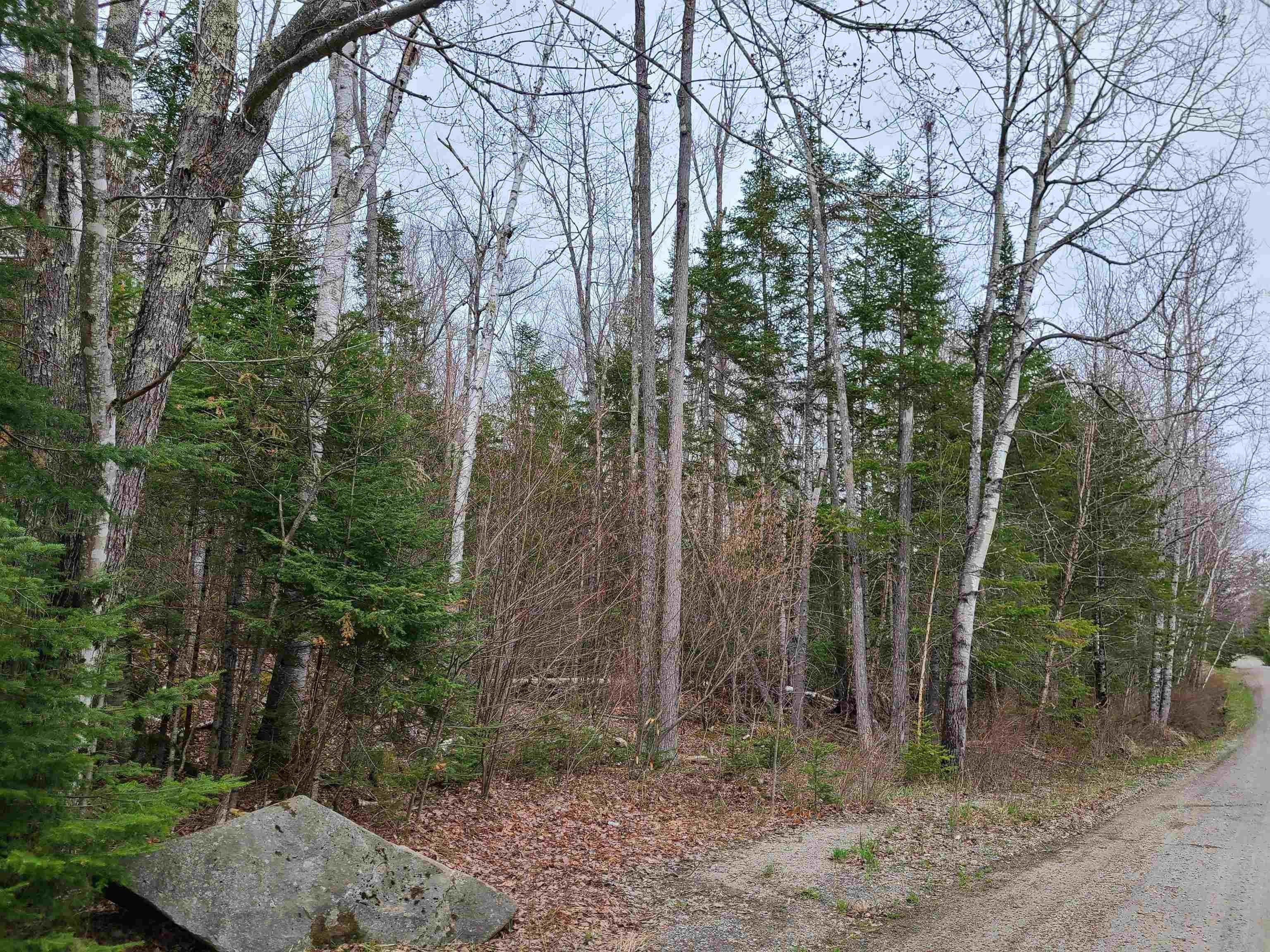 5. Land for Sale at Franconia, NH 03580