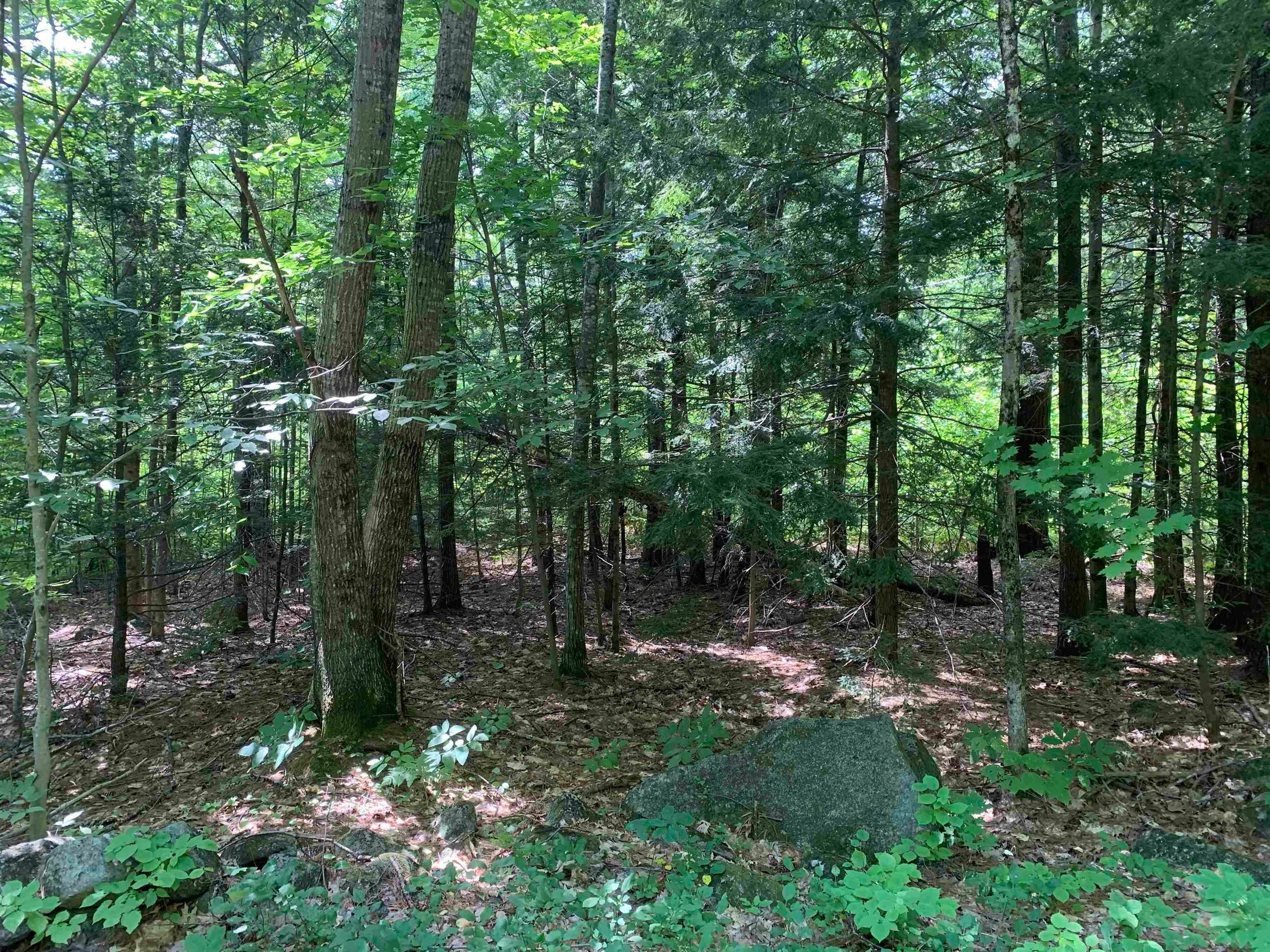 Land for Sale at Holderness, NH 03245