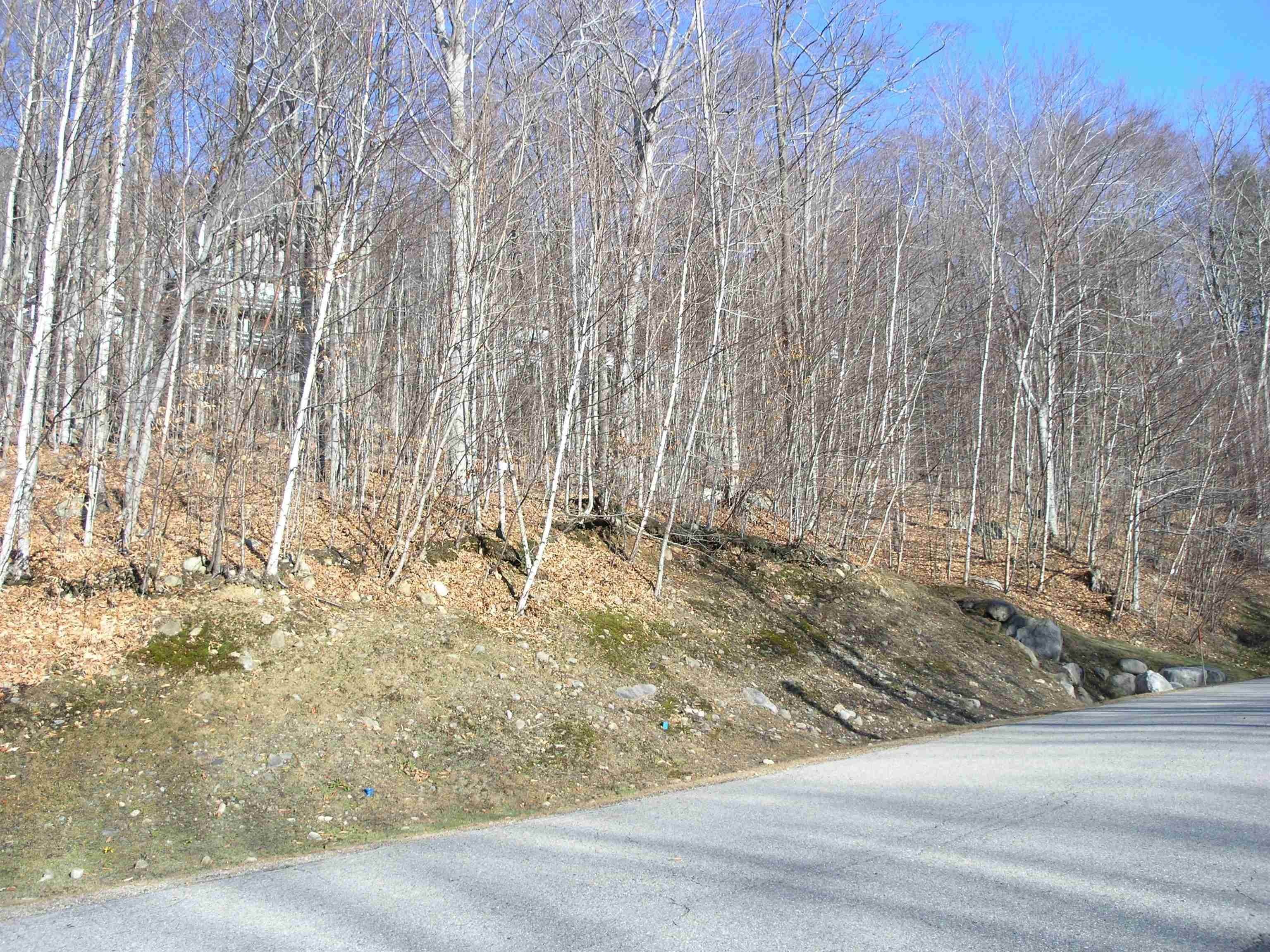 Land for Sale at Lincoln, NH 03251