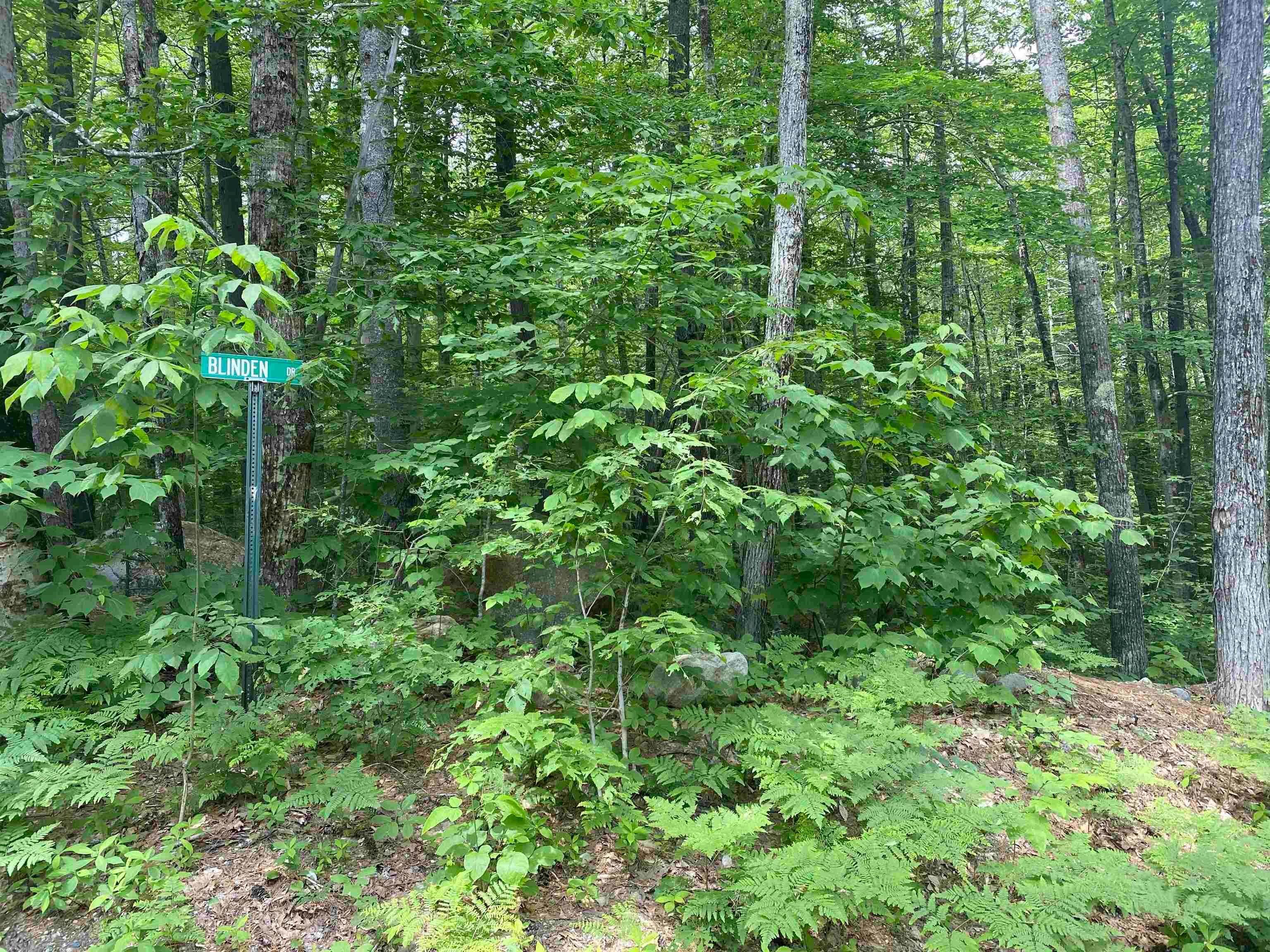 1. Land for Sale at Madison, NH 03849