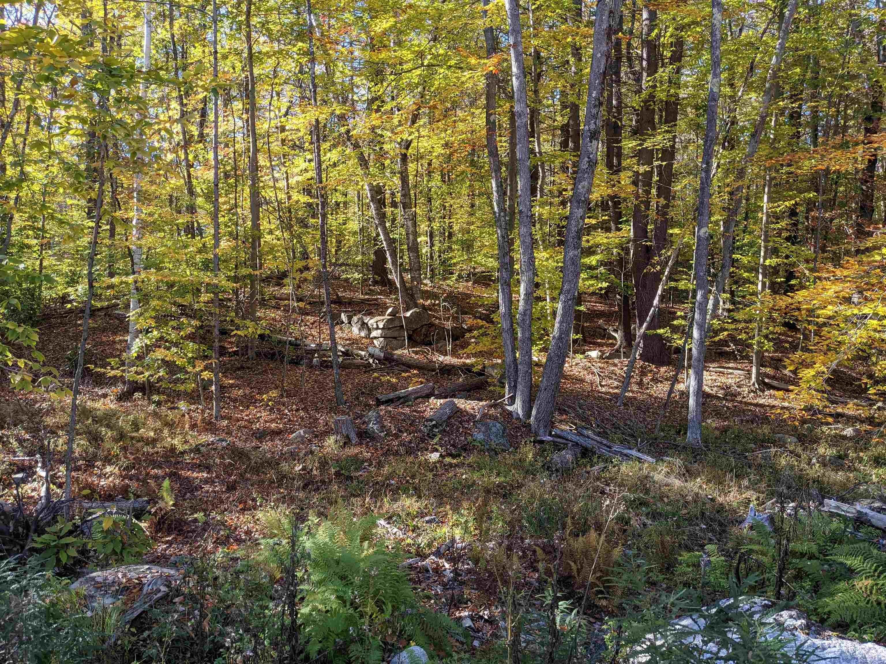 14. Land for Sale at Alton, NH 03809