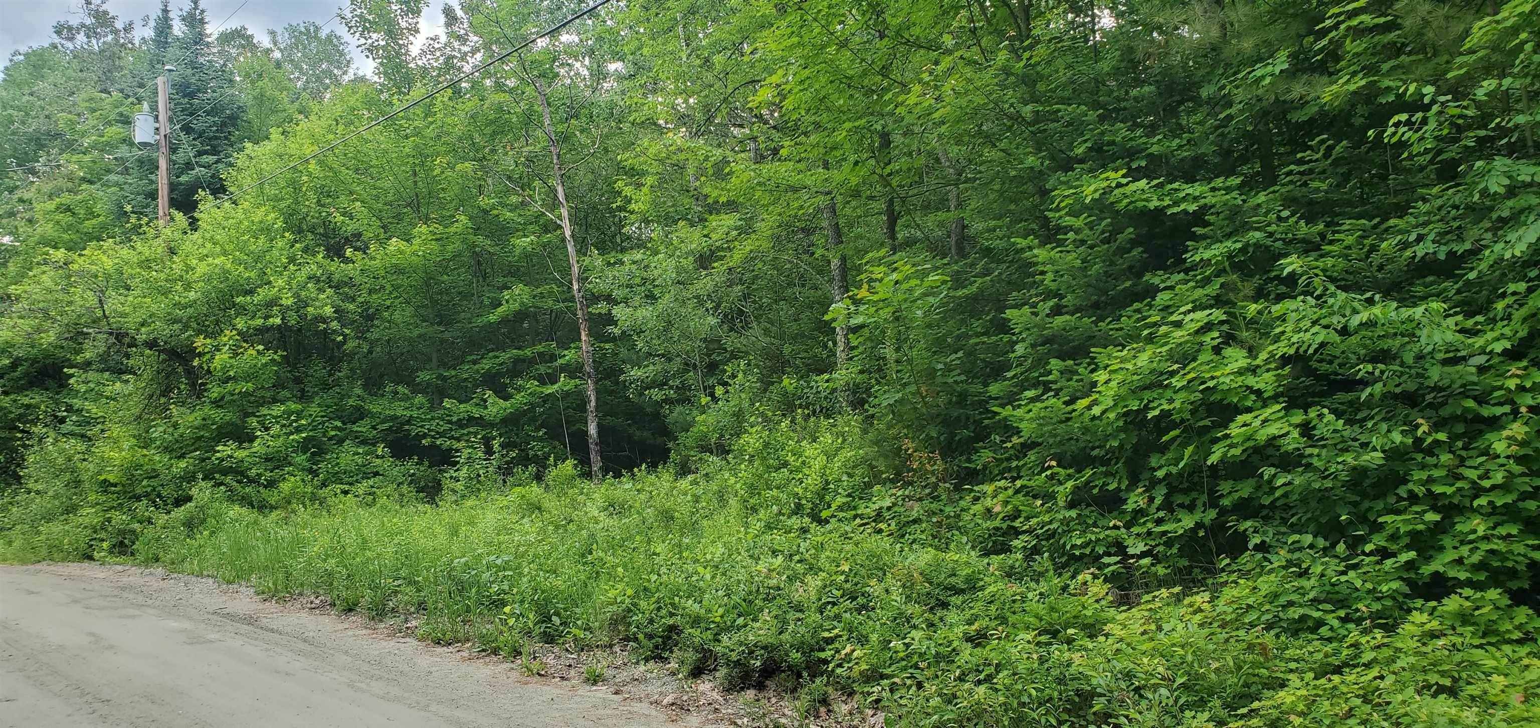 13. Land for Sale at Lyman, NH 03585