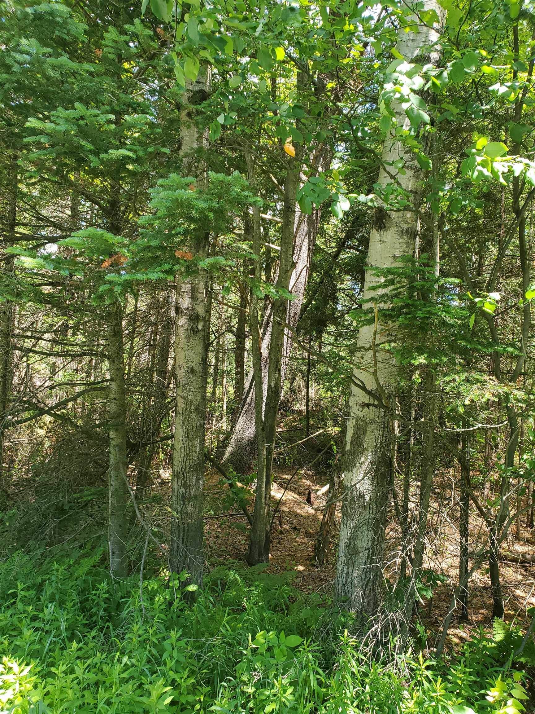2. Land for Sale at Jay, VT 05859