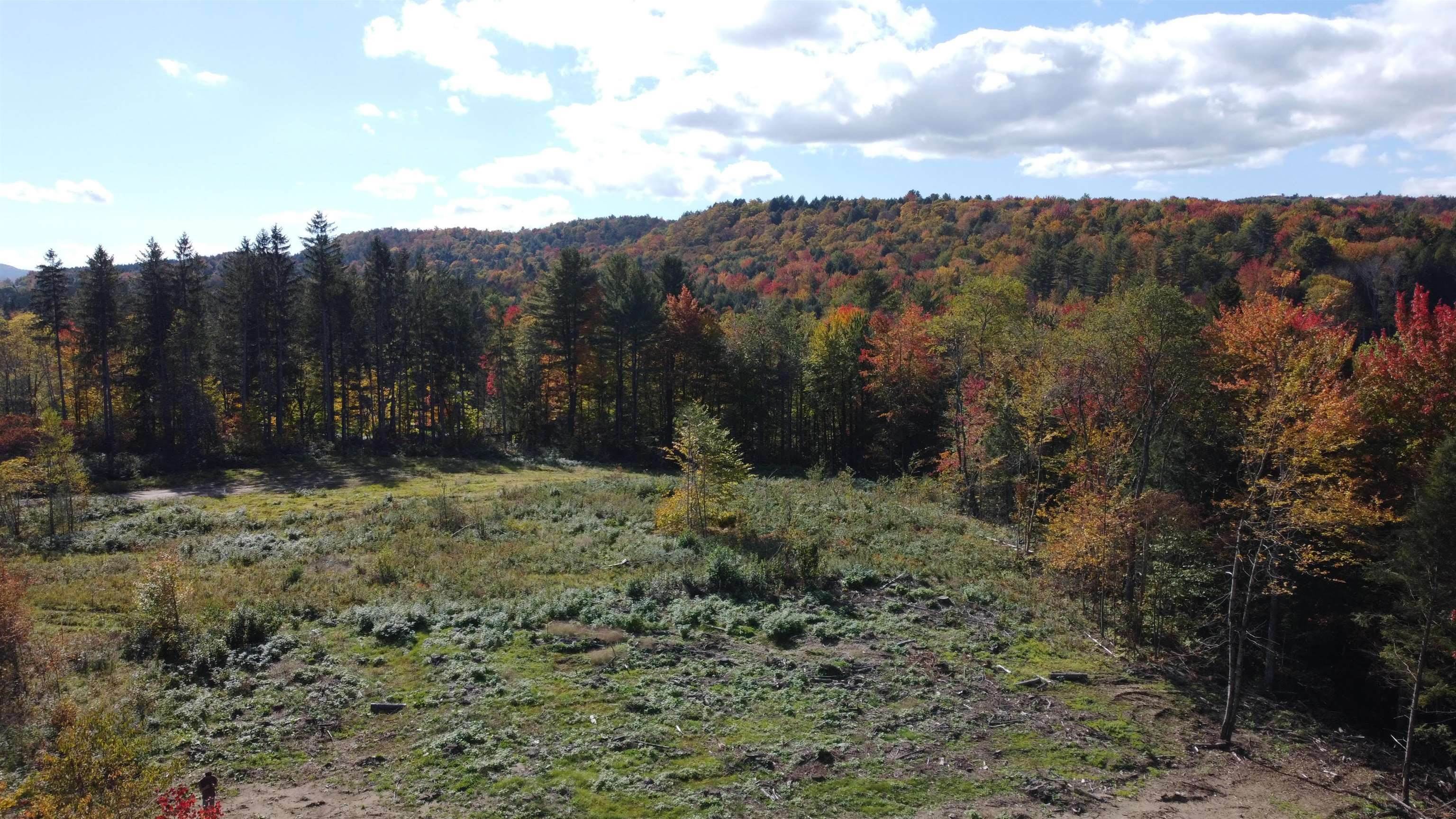 10. Land for Sale at Morristown, VT 05661