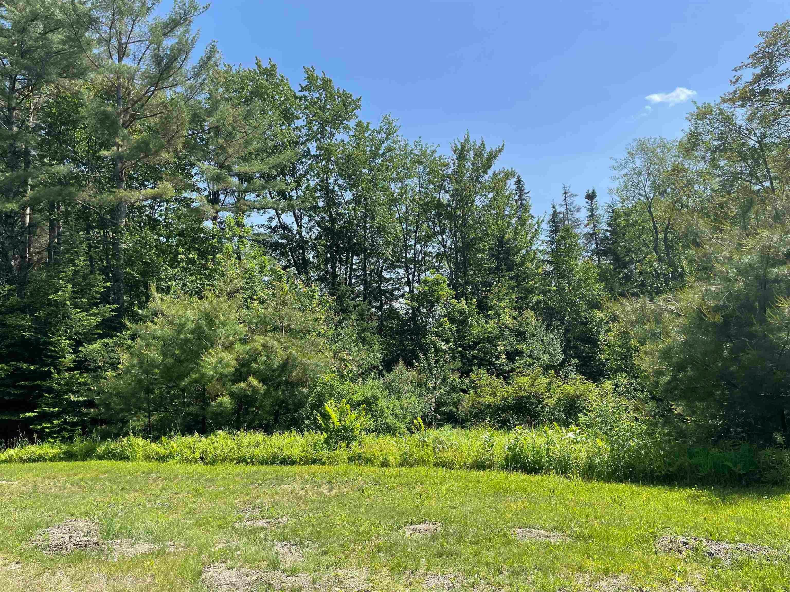 Land for Sale at Weston, VT 05161