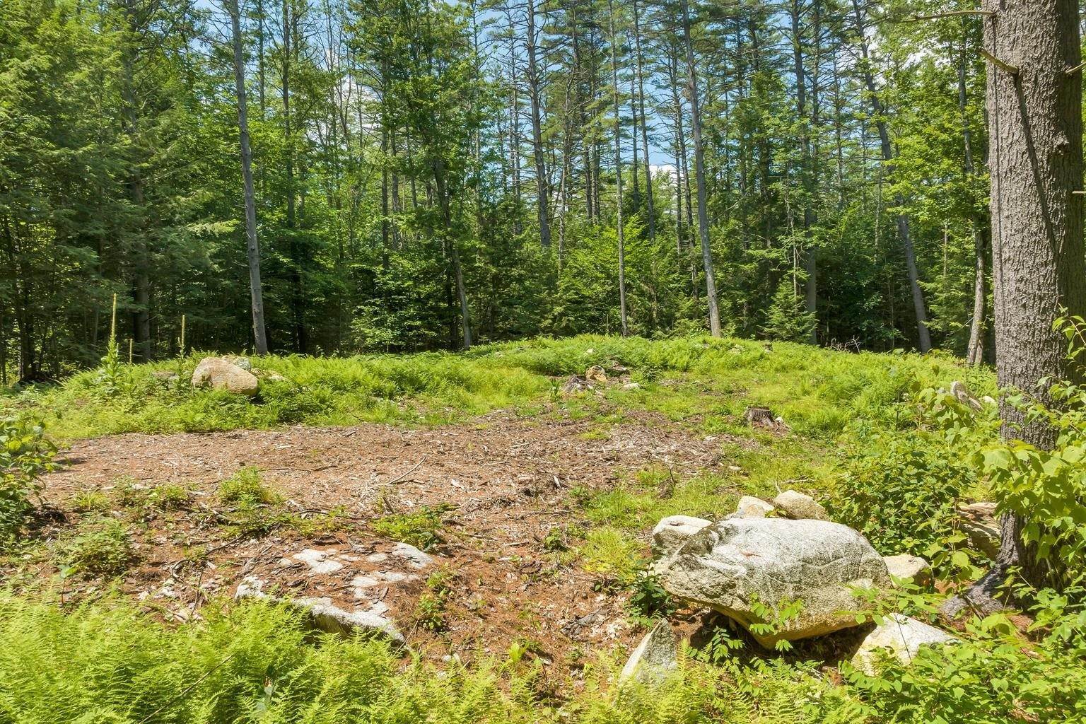 18. Land for Sale at Center Harbor, NH 03226