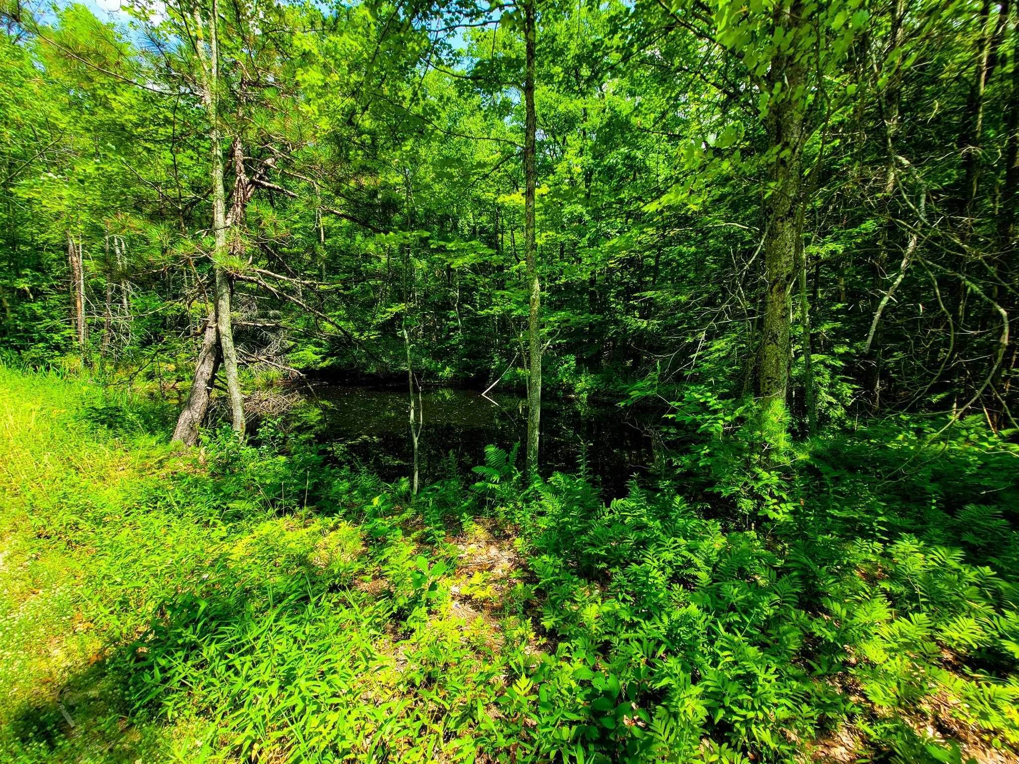 19. Land for Sale at Sutton, NH 03221