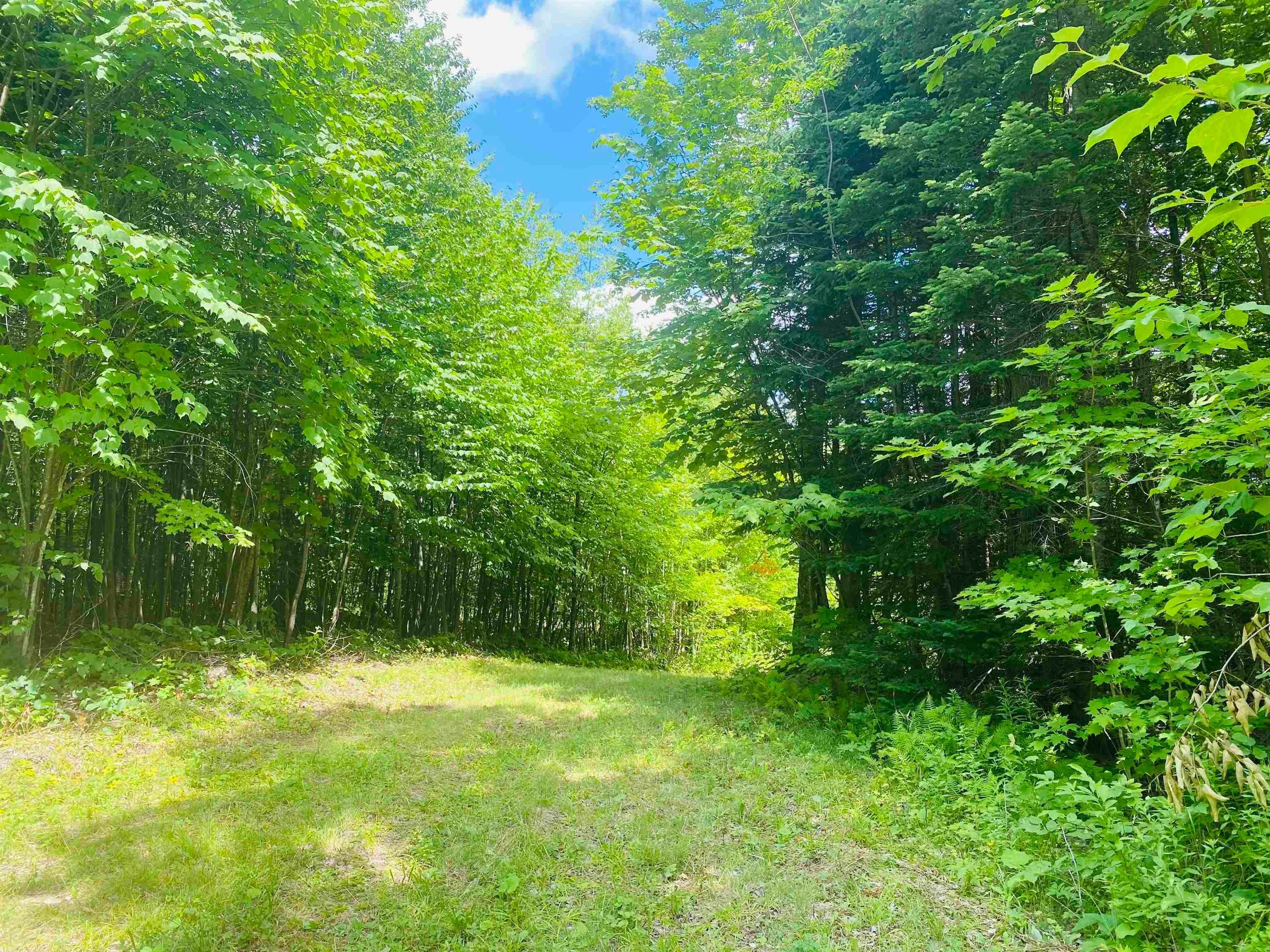 2. Land for Sale at Wheelock, VT 05851