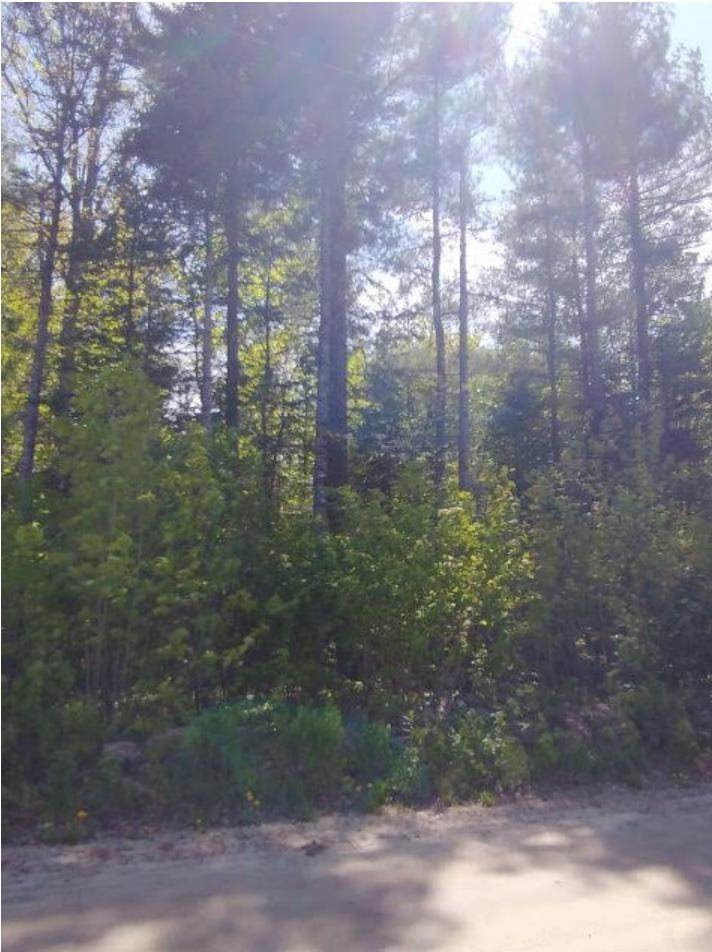 2. Land for Sale at Grafton, NH 03240