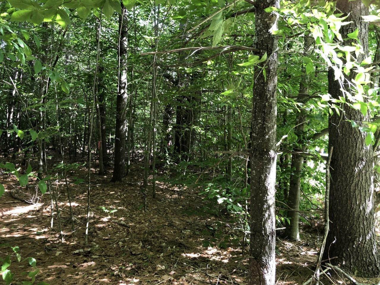 4. Land for Sale at Thornton, NH 03285