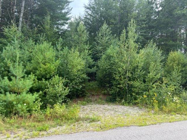 Land for Sale at Antrim, NH 03440