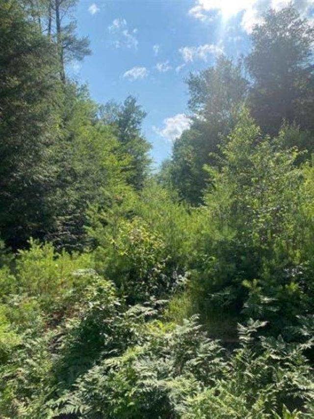 Land for Sale at Franklin, NH 03235
