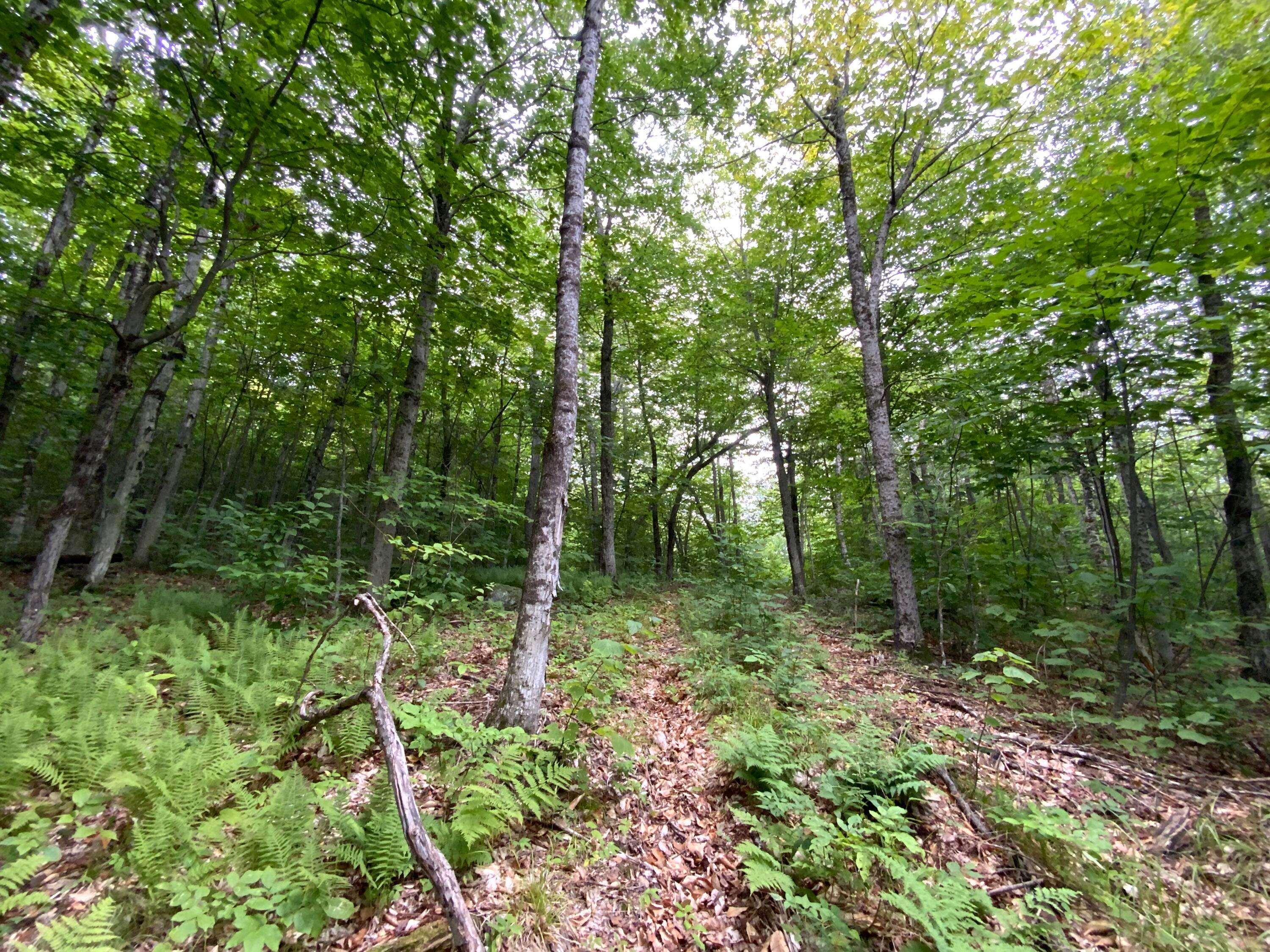 25. Land for Sale at Rumford, ME 04276
